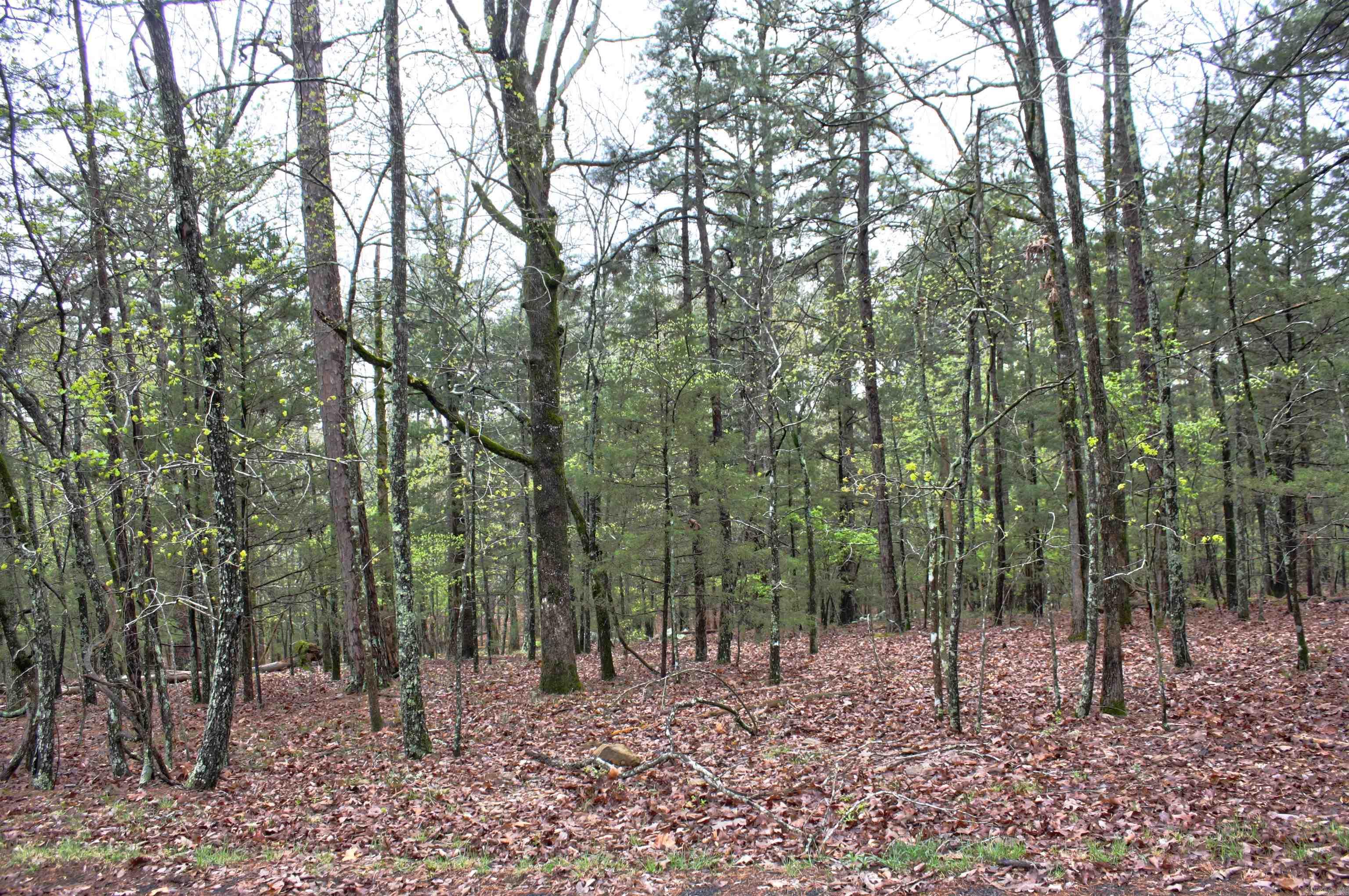 000  Genie Lane  Edgemont, AR
