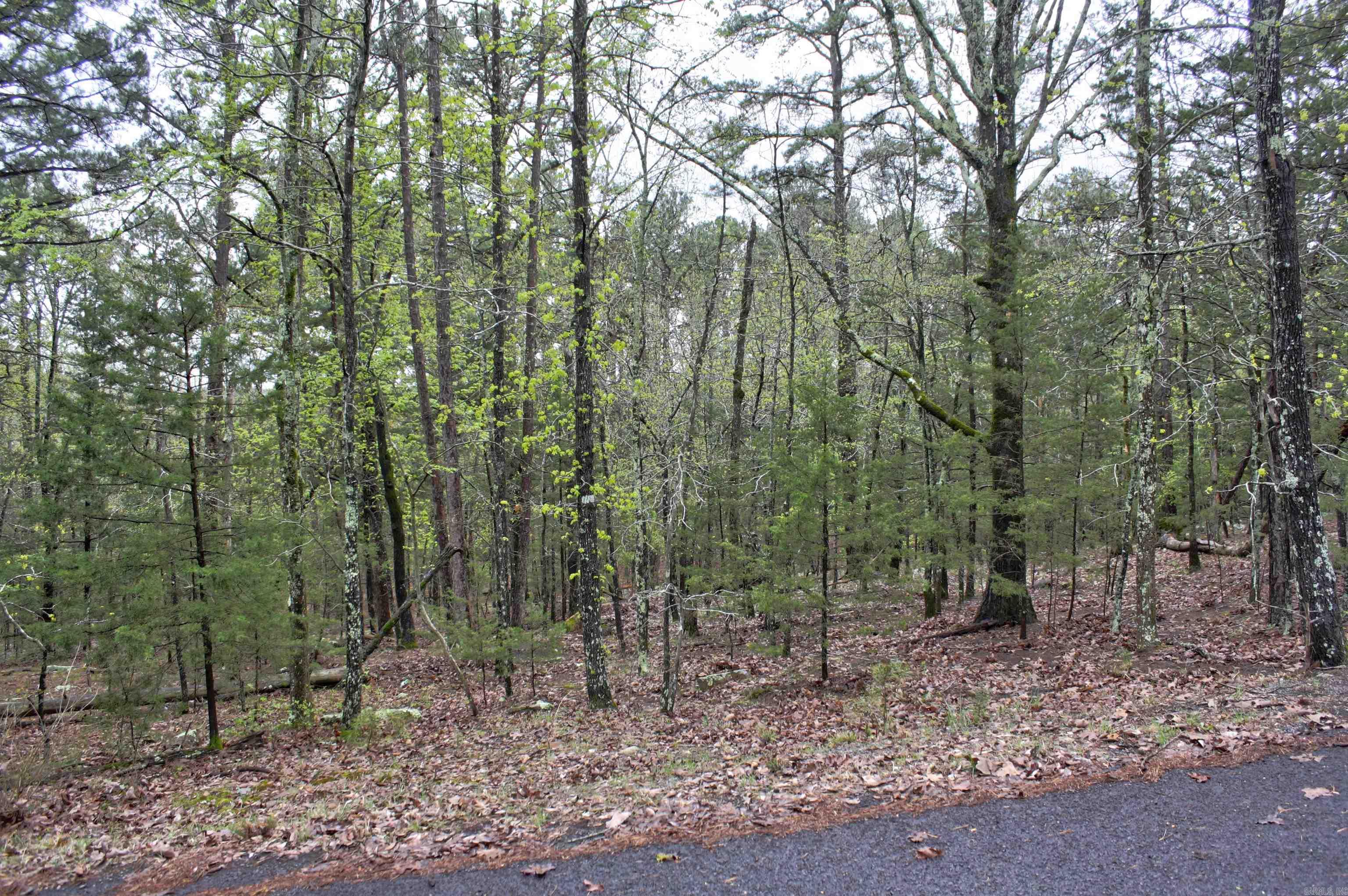 000  Genie Lane  Edgemont, AR