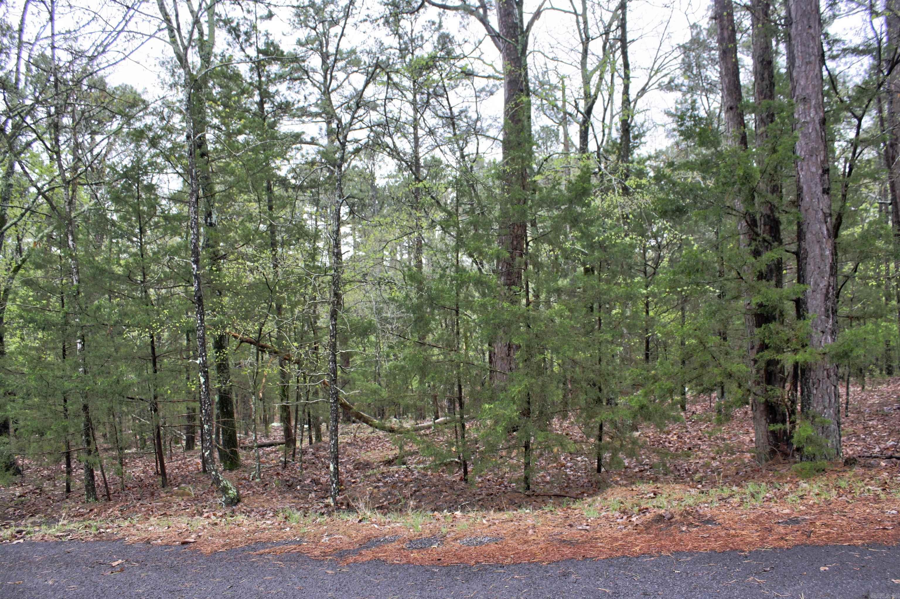 000  Genie Lane  Edgemont, AR