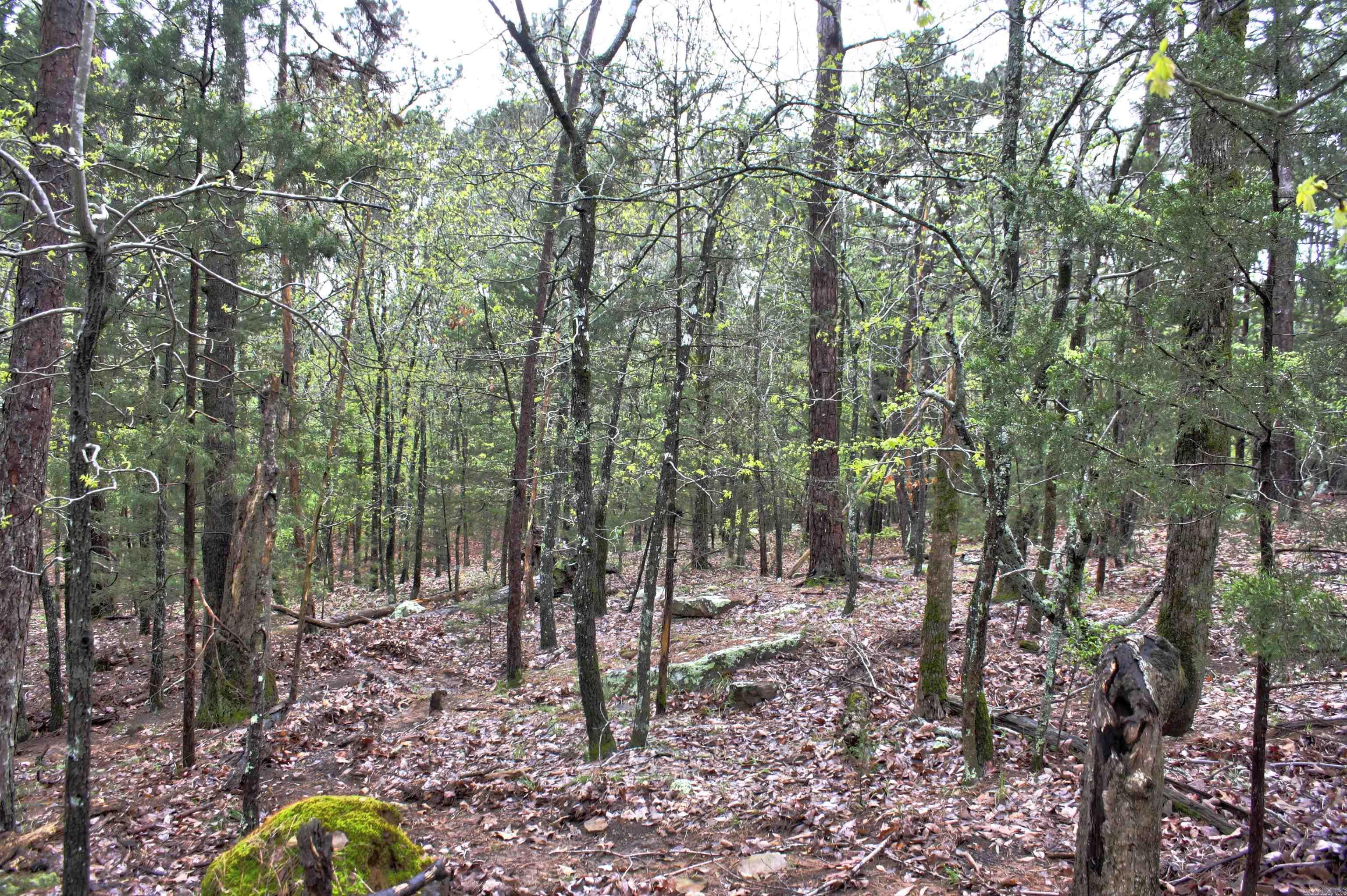 000  Genie Lane  Edgemont, AR
