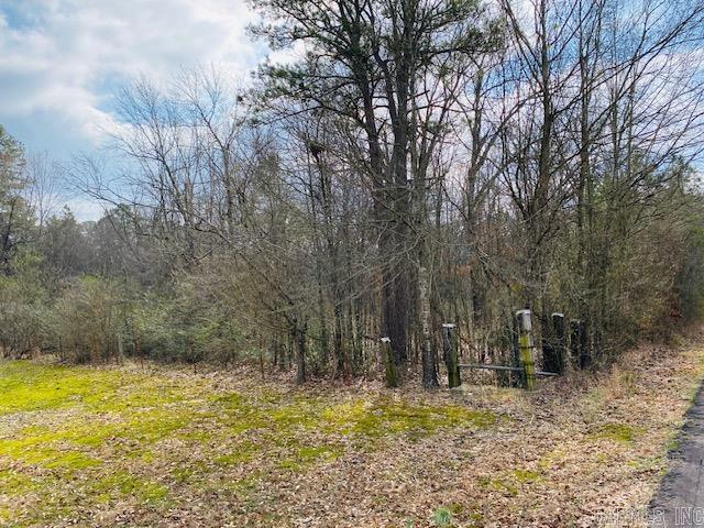 Unk  Elm and Highway 272  Waldron, AR