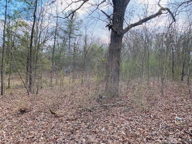 Unk  Elm and Highway 272  Waldron, AR