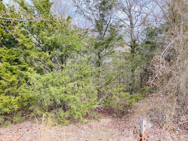 Unk  Elm and Highway 272  Waldron, AR