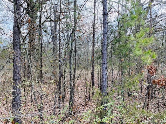 Unk  Elm and Highway 272  Waldron, AR
