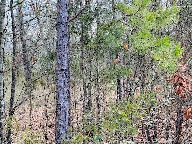 Unk  Elm and Highway 272  Waldron, AR