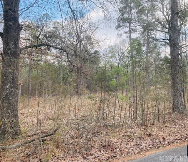 Unk  Elm and Highway 272  Waldron, AR