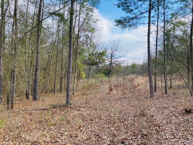 Unk  Elm and Highway 272  Waldron, AR