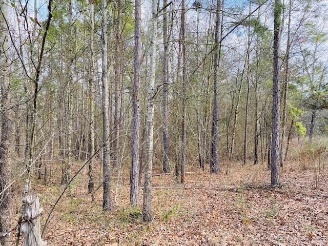Unk  Elm and Highway 272  Waldron, AR