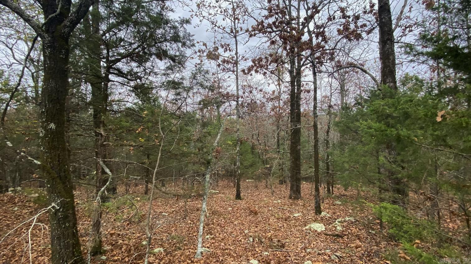 116  Simpson Road  Vilonia, AR