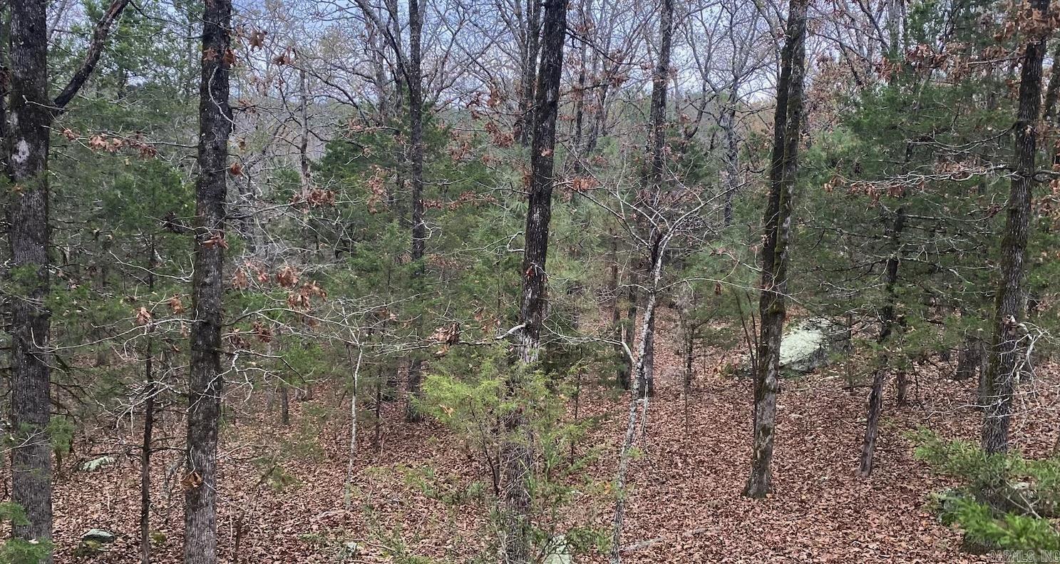 116  Simpson Road  Vilonia, AR