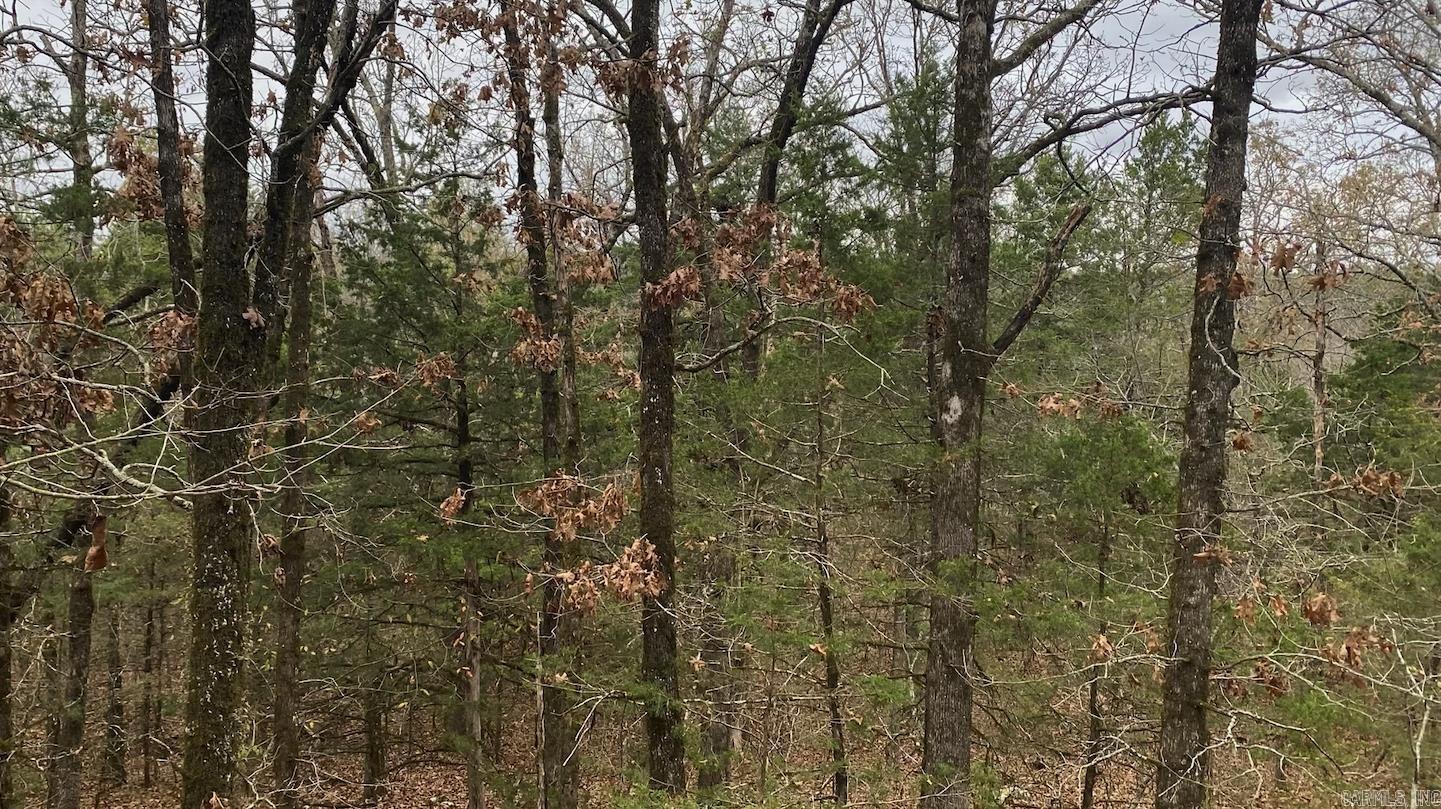 116  Simpson Road  Vilonia, AR