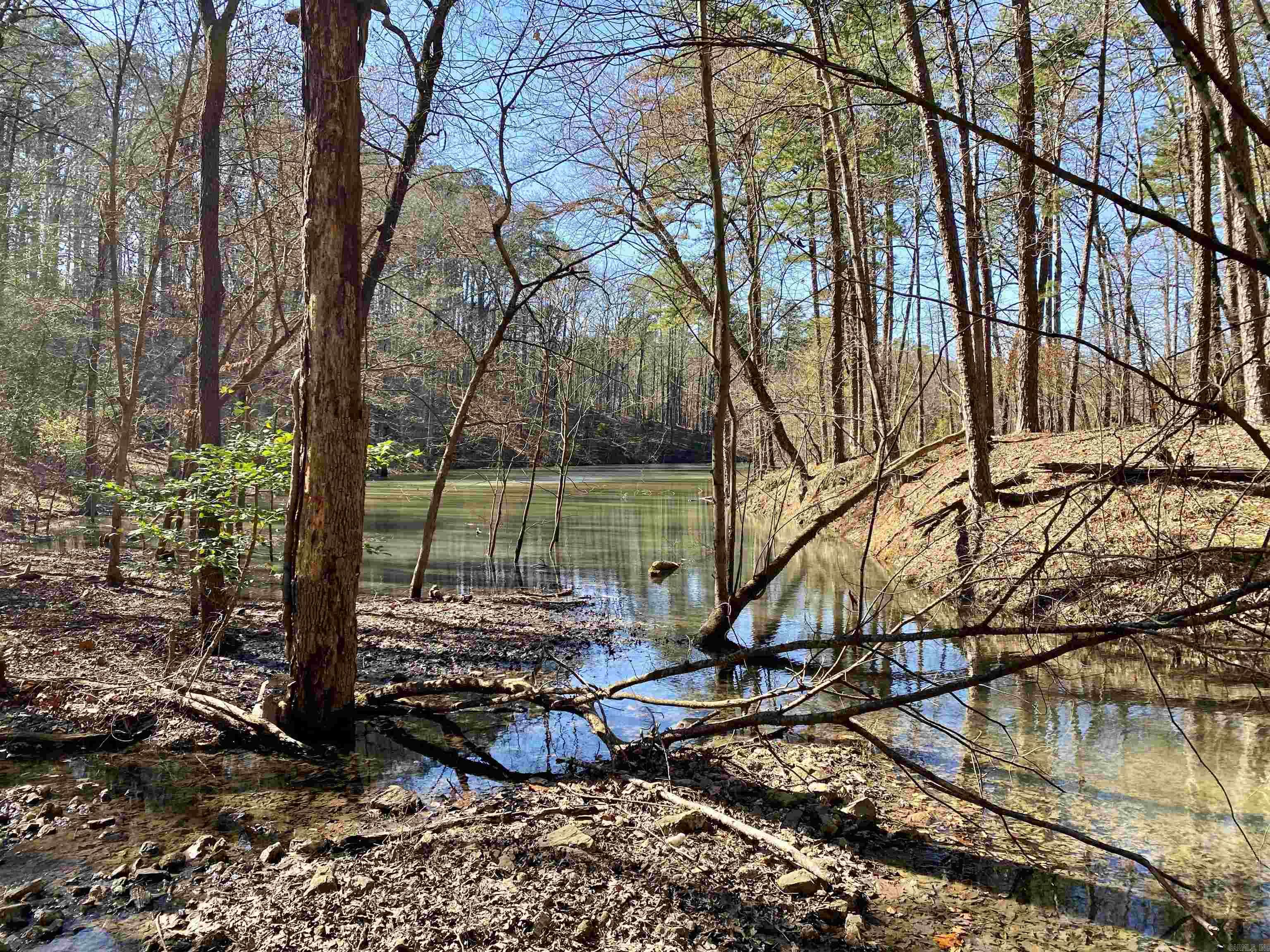 19  Southridge  Mount Ida, AR