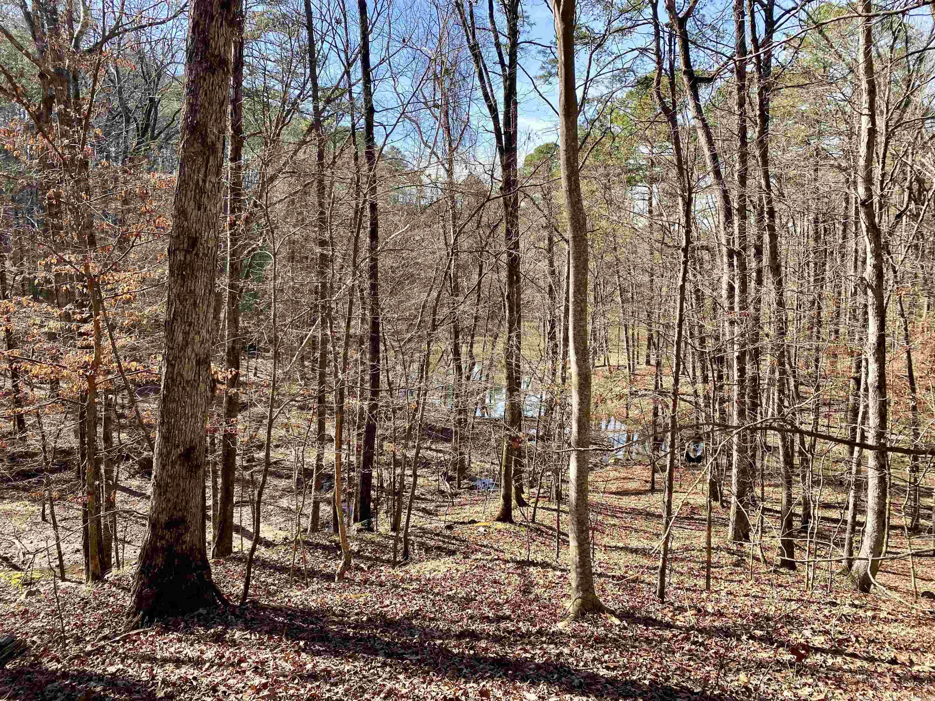 19  Southridge  Mount Ida, AR
