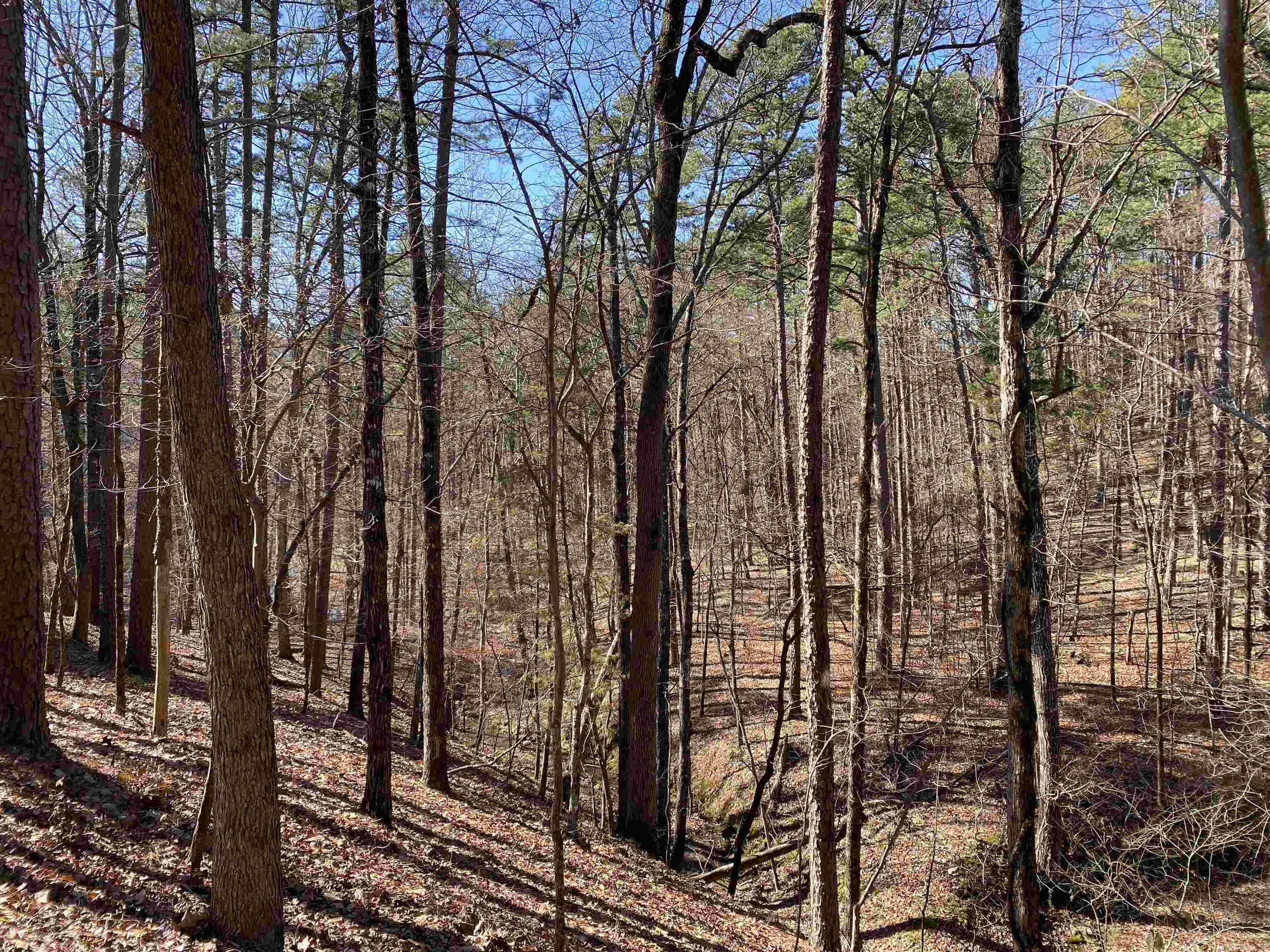 19  Southridge  Mount Ida, AR