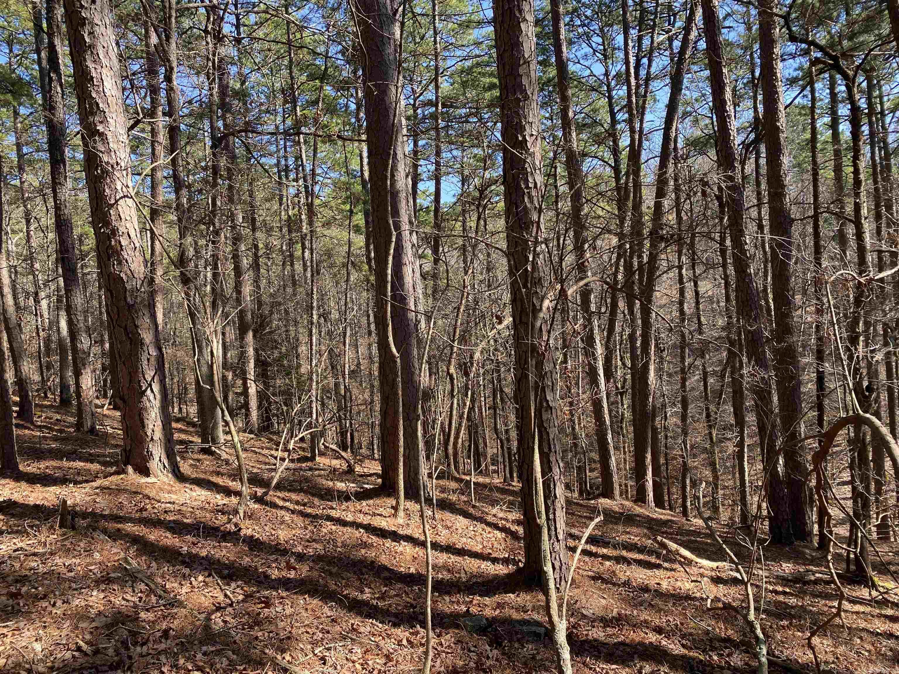 16  Hillside Lot 89 Mount Ida, AR