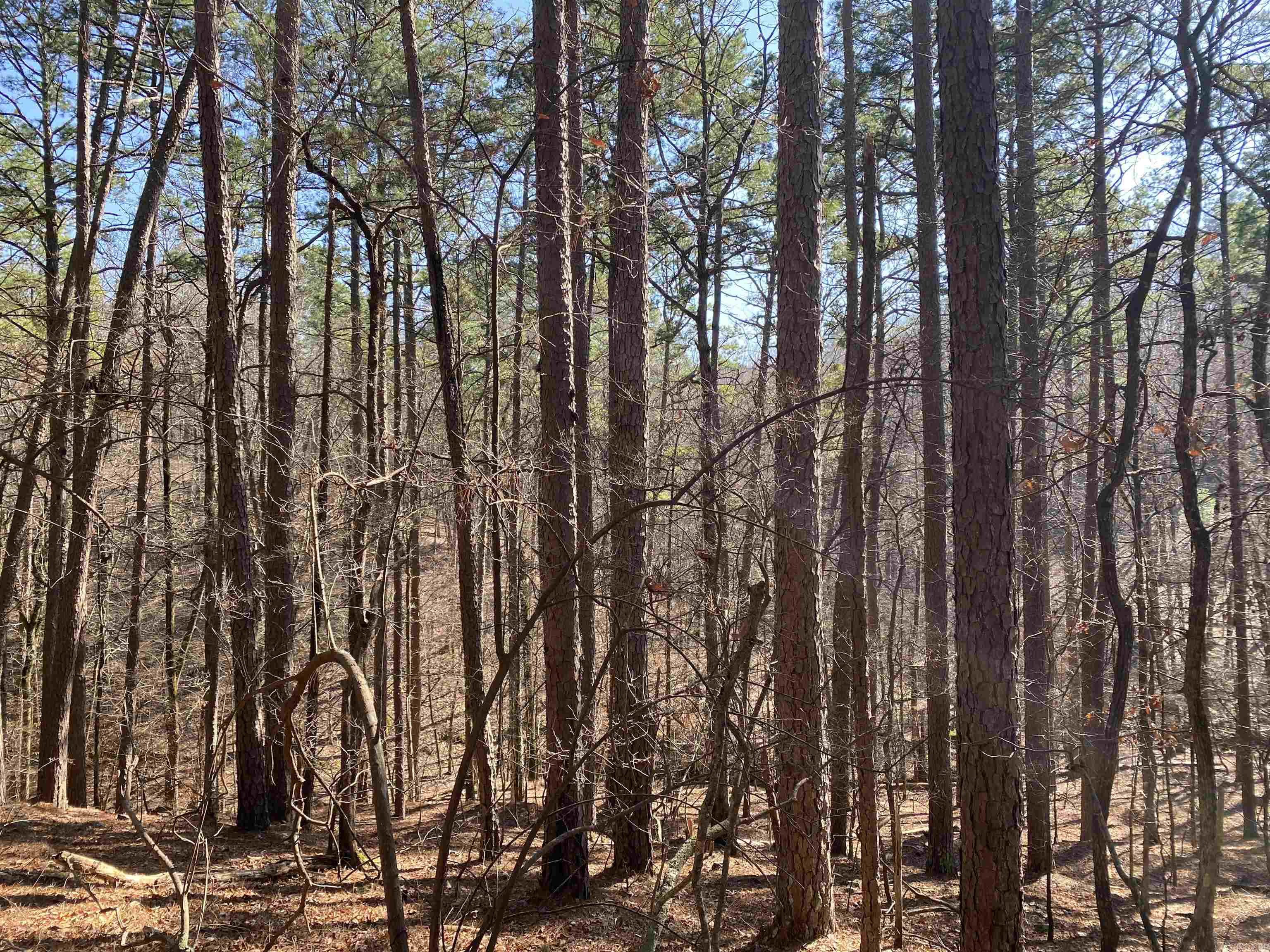 16  Hillside Lot 89 Mount Ida, AR