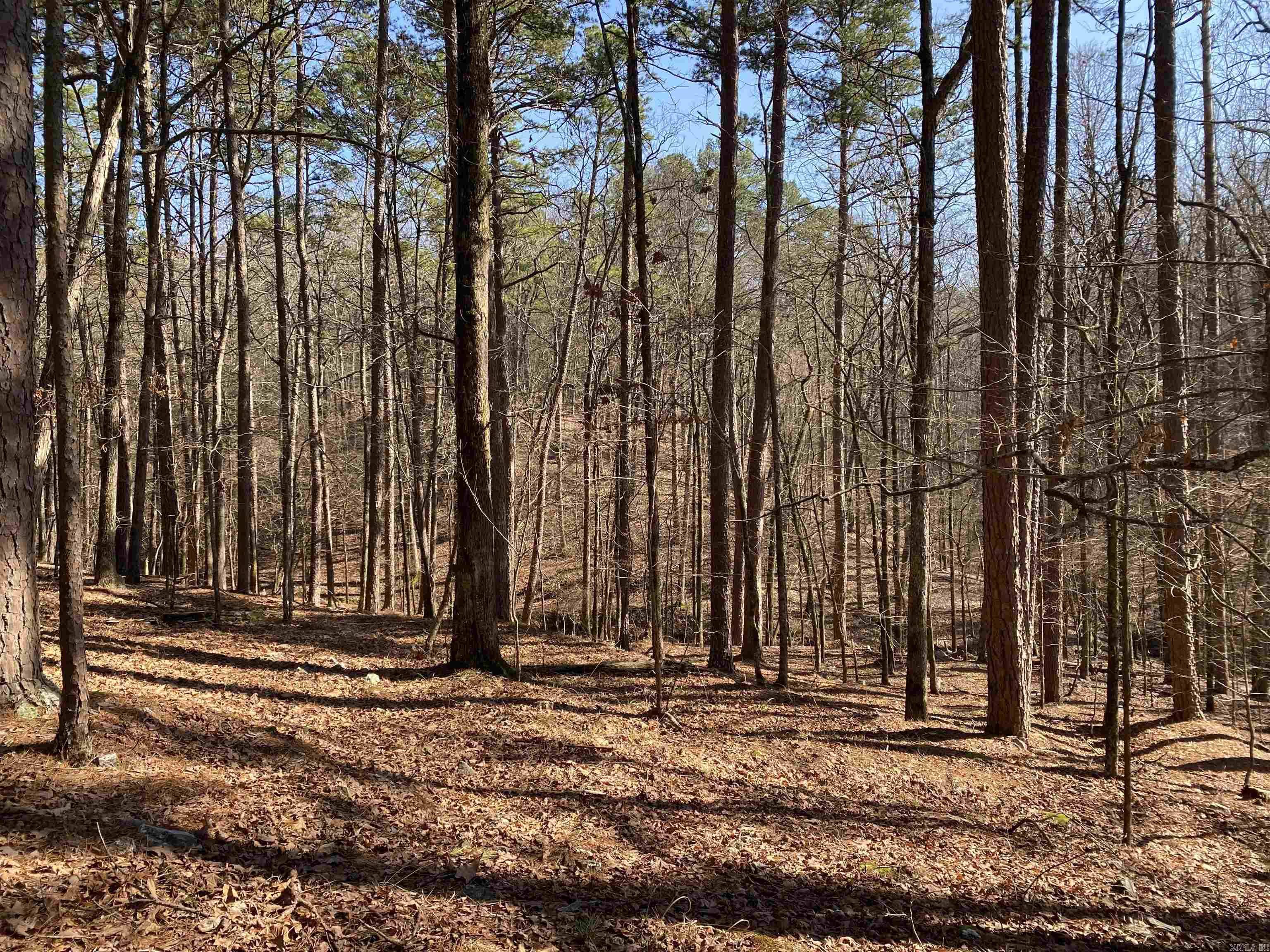 16  Hillside Lot 89 Mount Ida, AR
