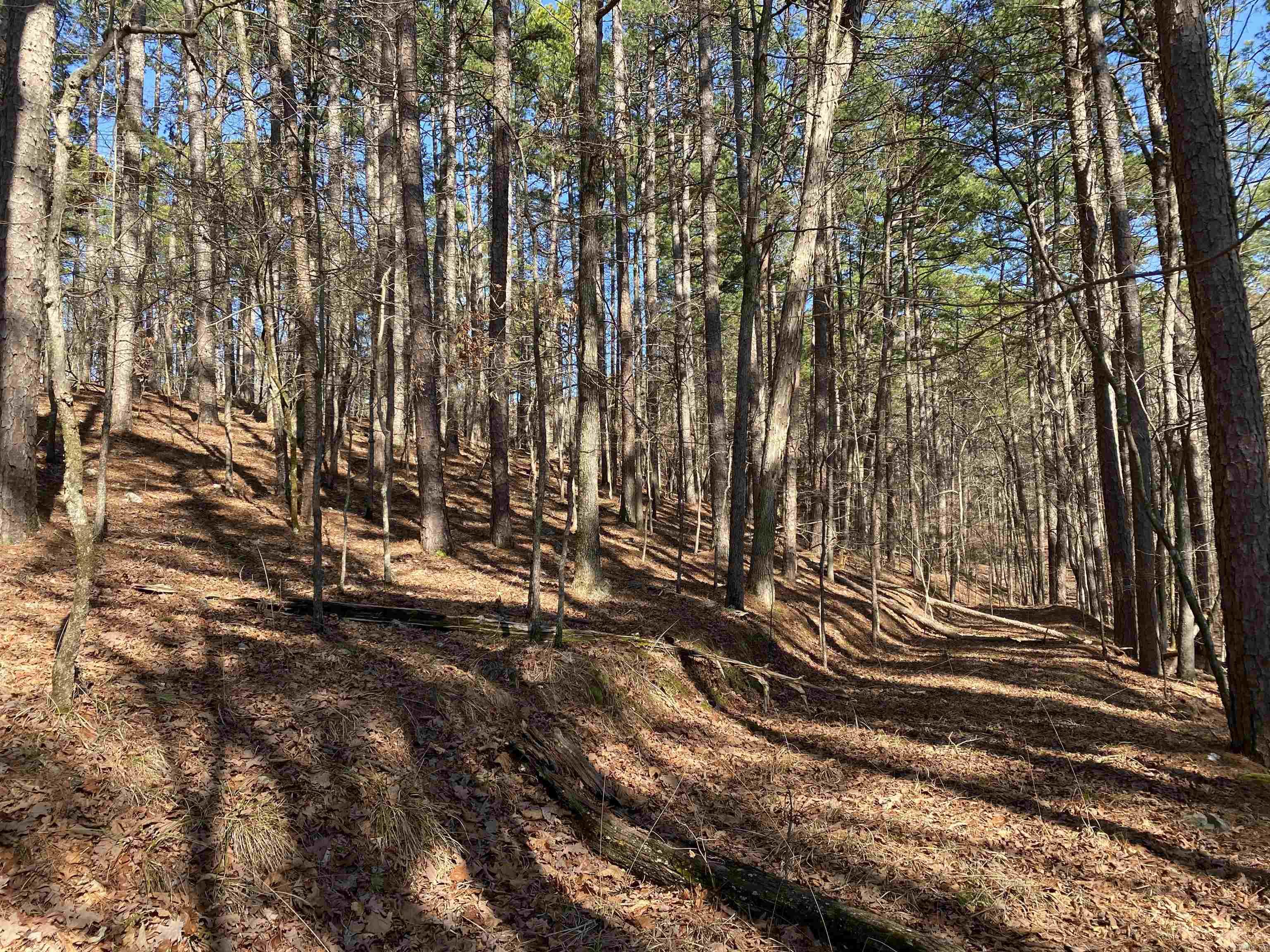 16  Hillside Lot 89 Mount Ida, AR