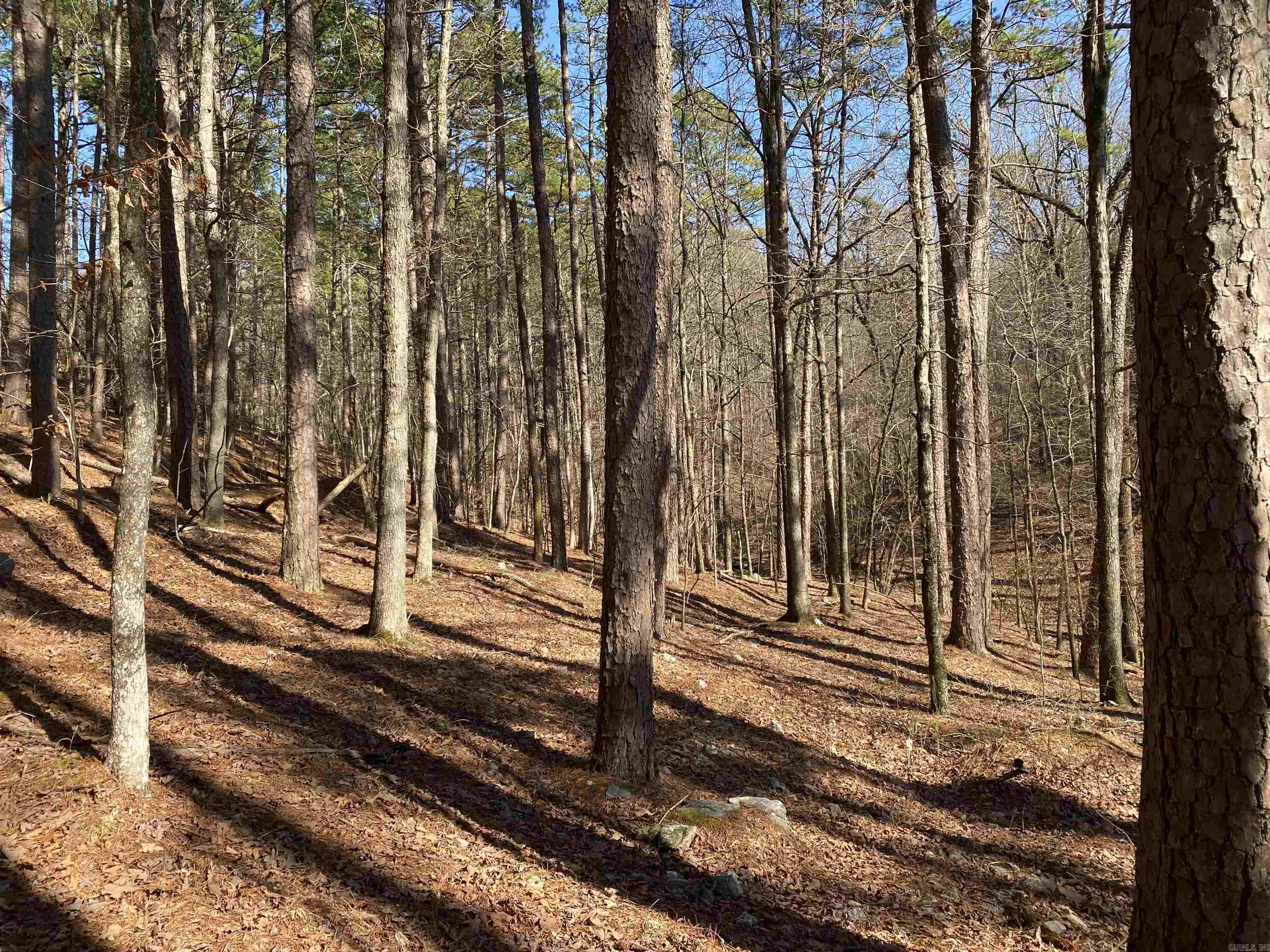 16  Hillside Lot 89 Mount Ida, AR