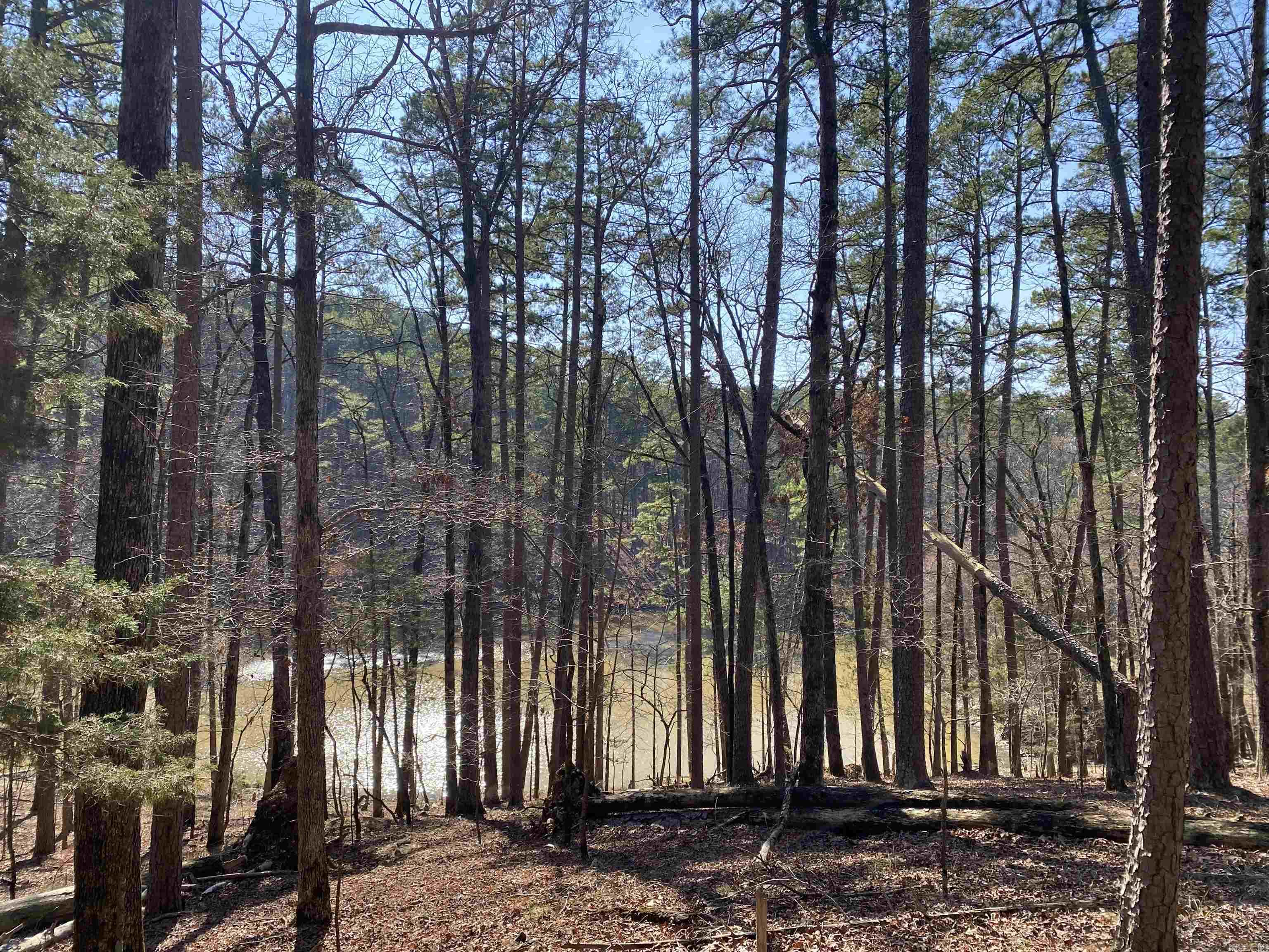 17  Southridge  Mount Ida, AR