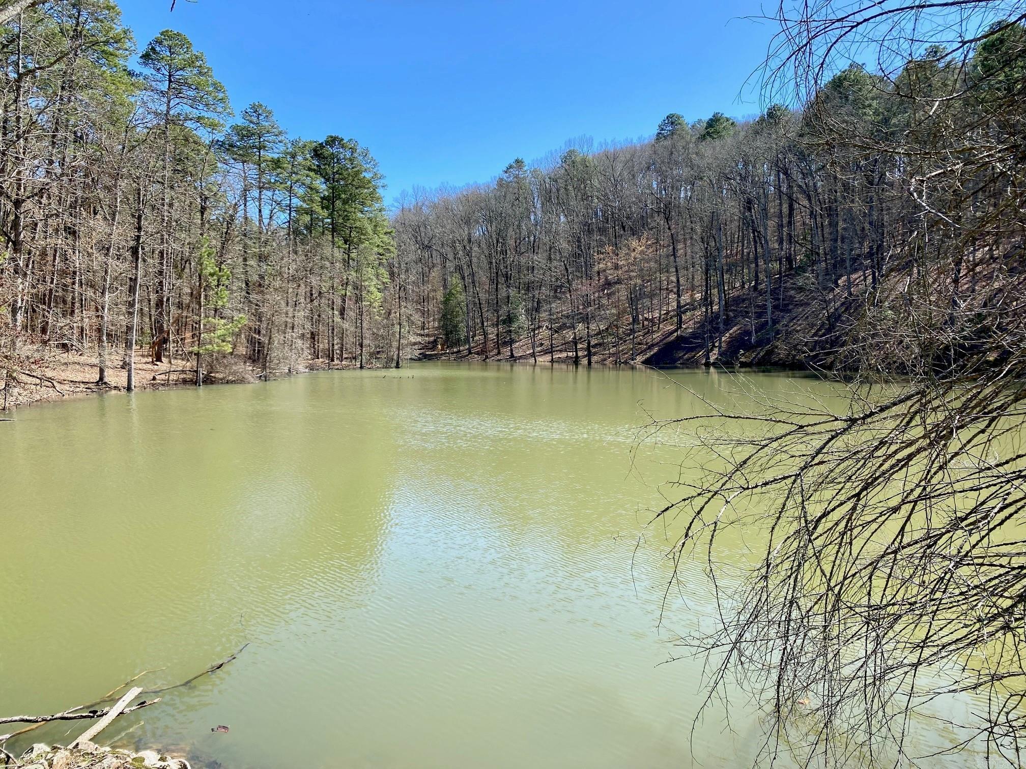 17  Southridge  Mount Ida, AR