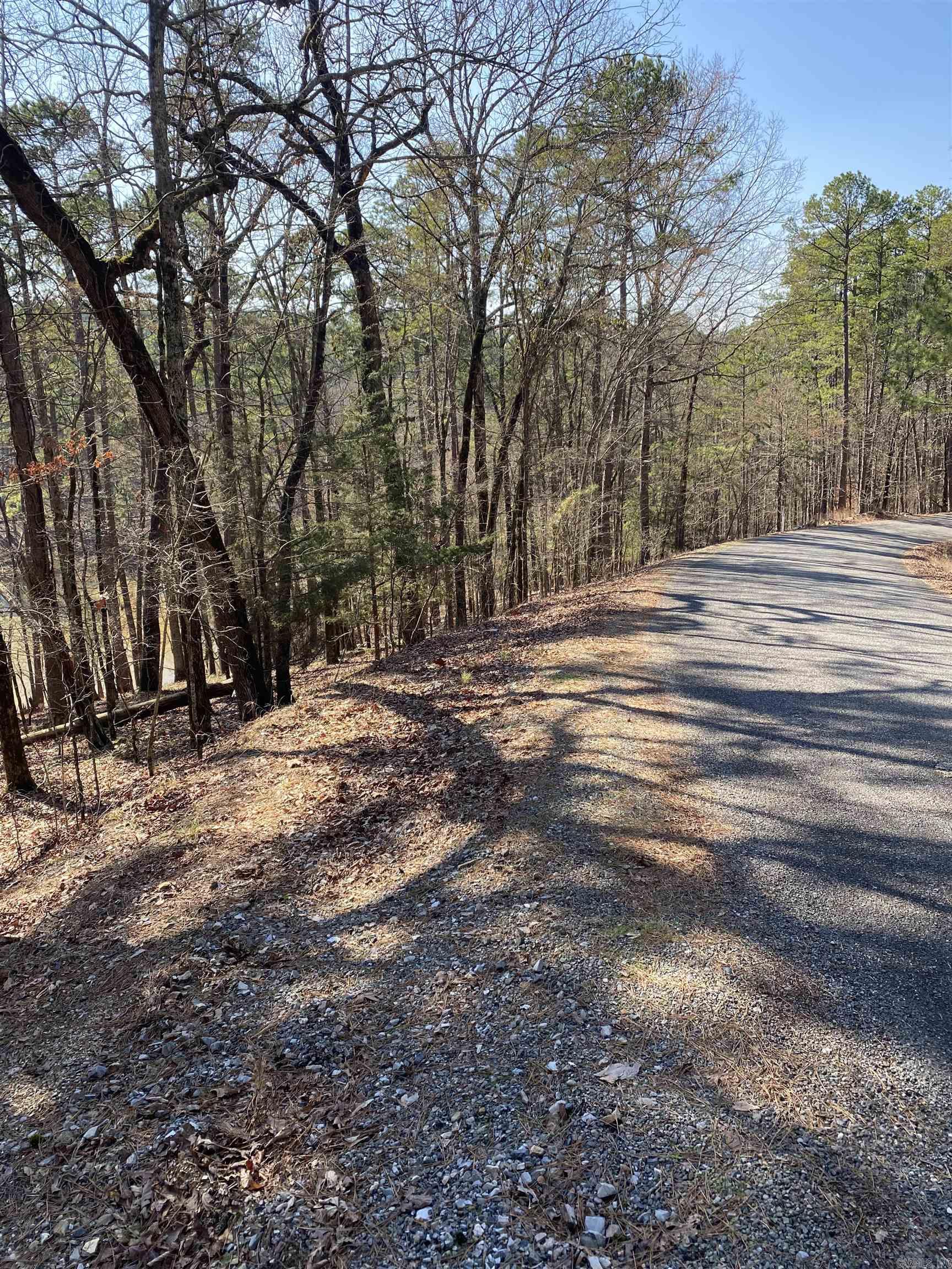 17  Southridge  Mount Ida, AR