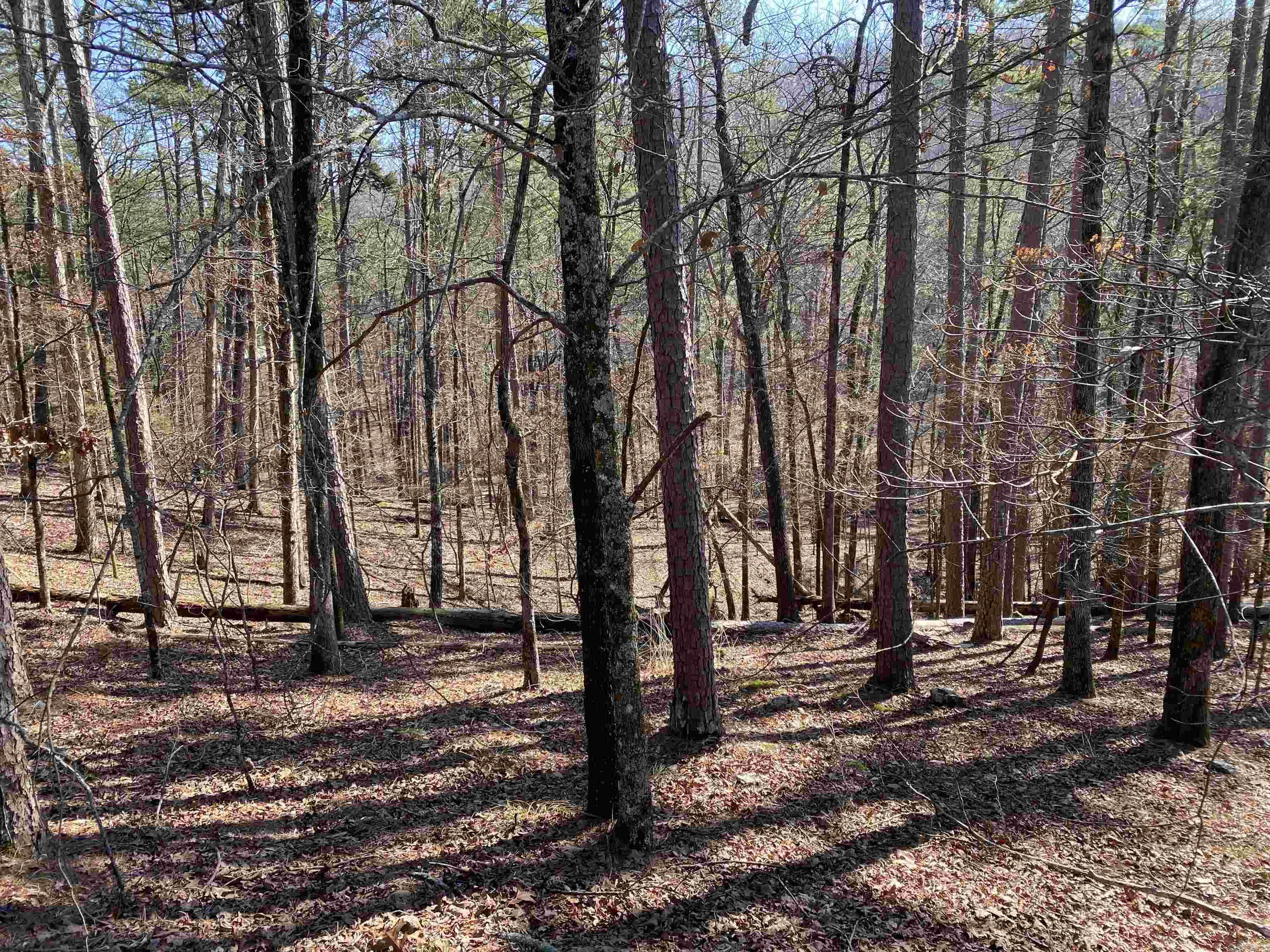 17  Southridge  Mount Ida, AR