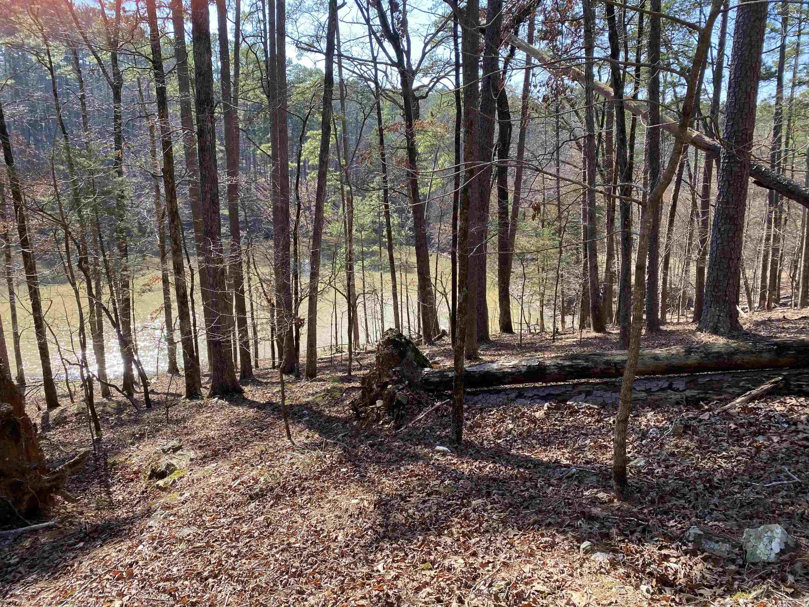 17  Southridge  Mount Ida, AR