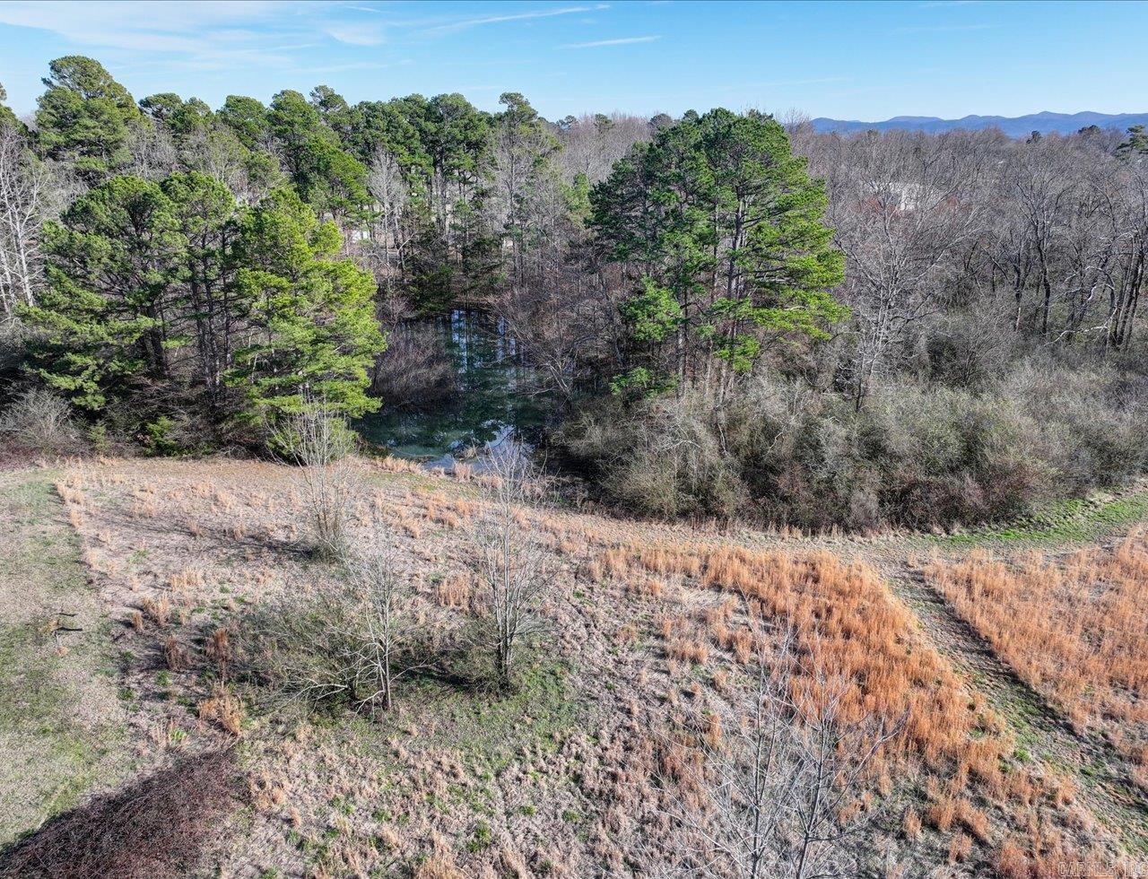 2212  Missouri  Mena, AR