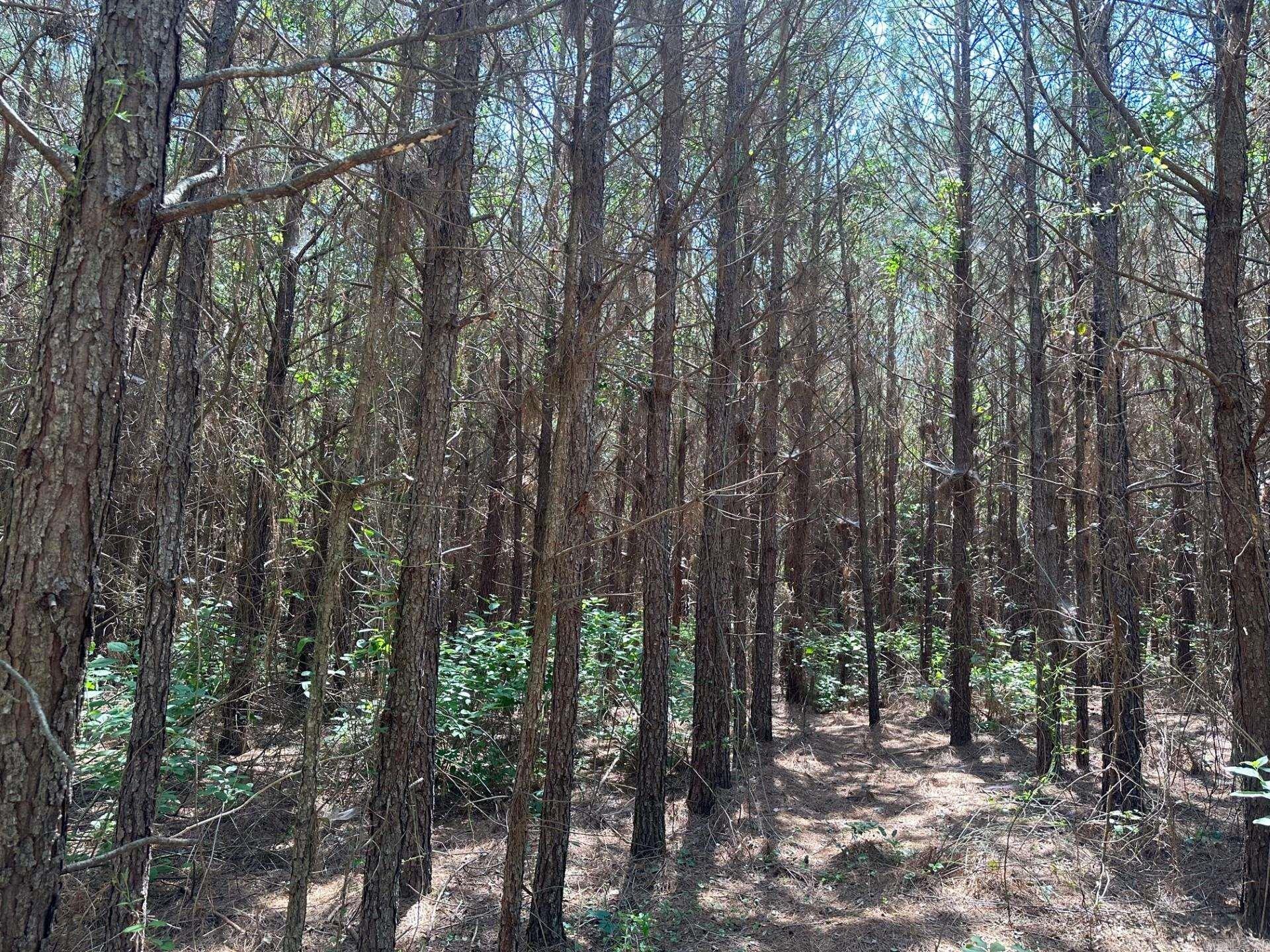 1  Hempstead Rd 161  Hope, AR