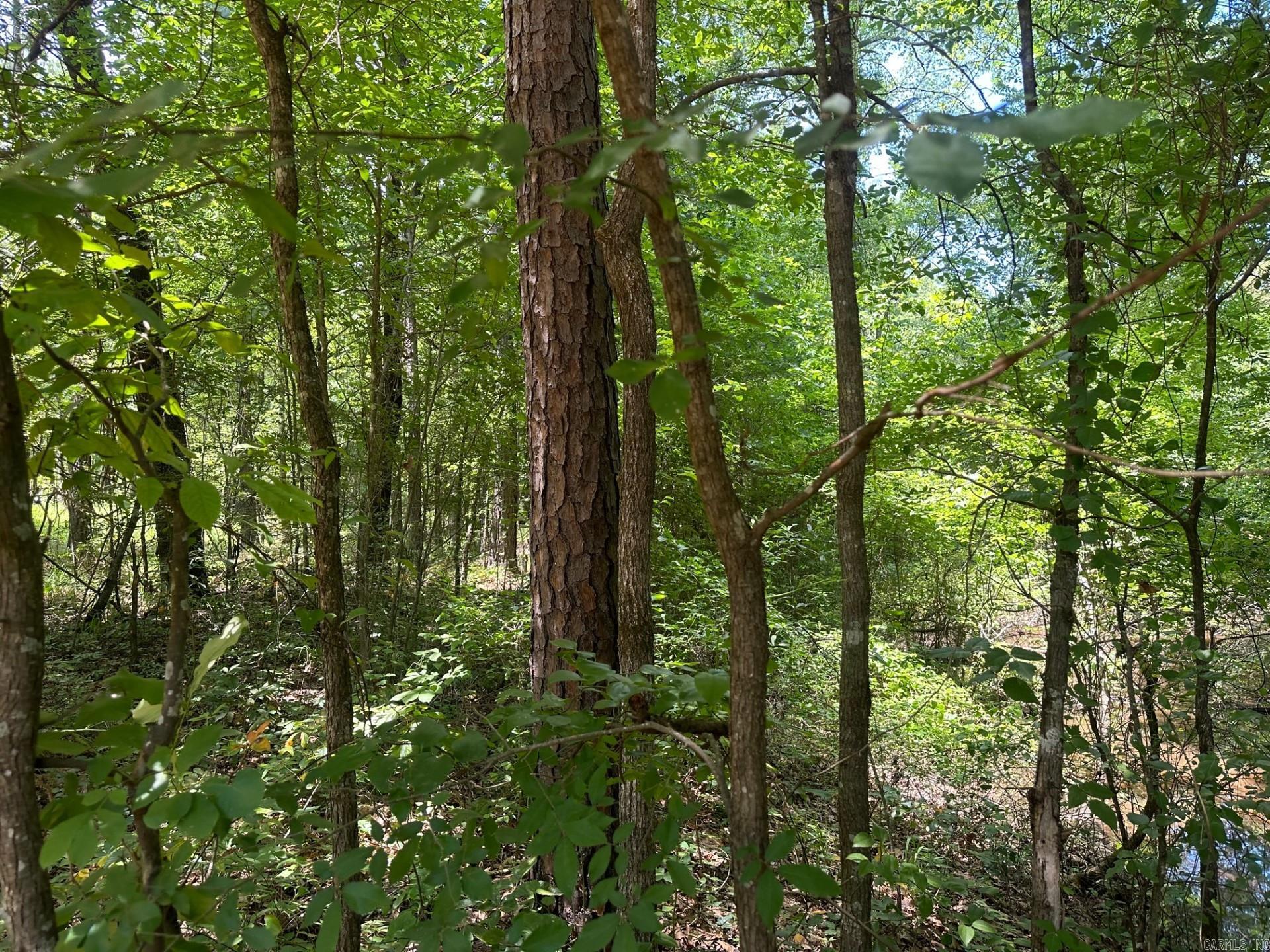 1  Pickett Loop Rd  Taylor, AR