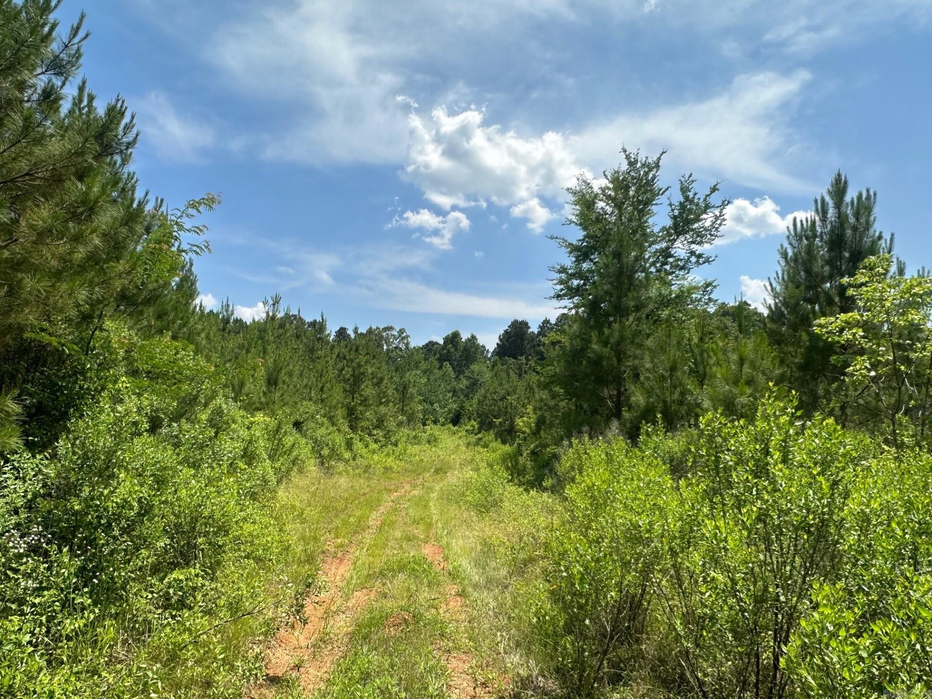 1  Pickett Loop Rd  Taylor, AR