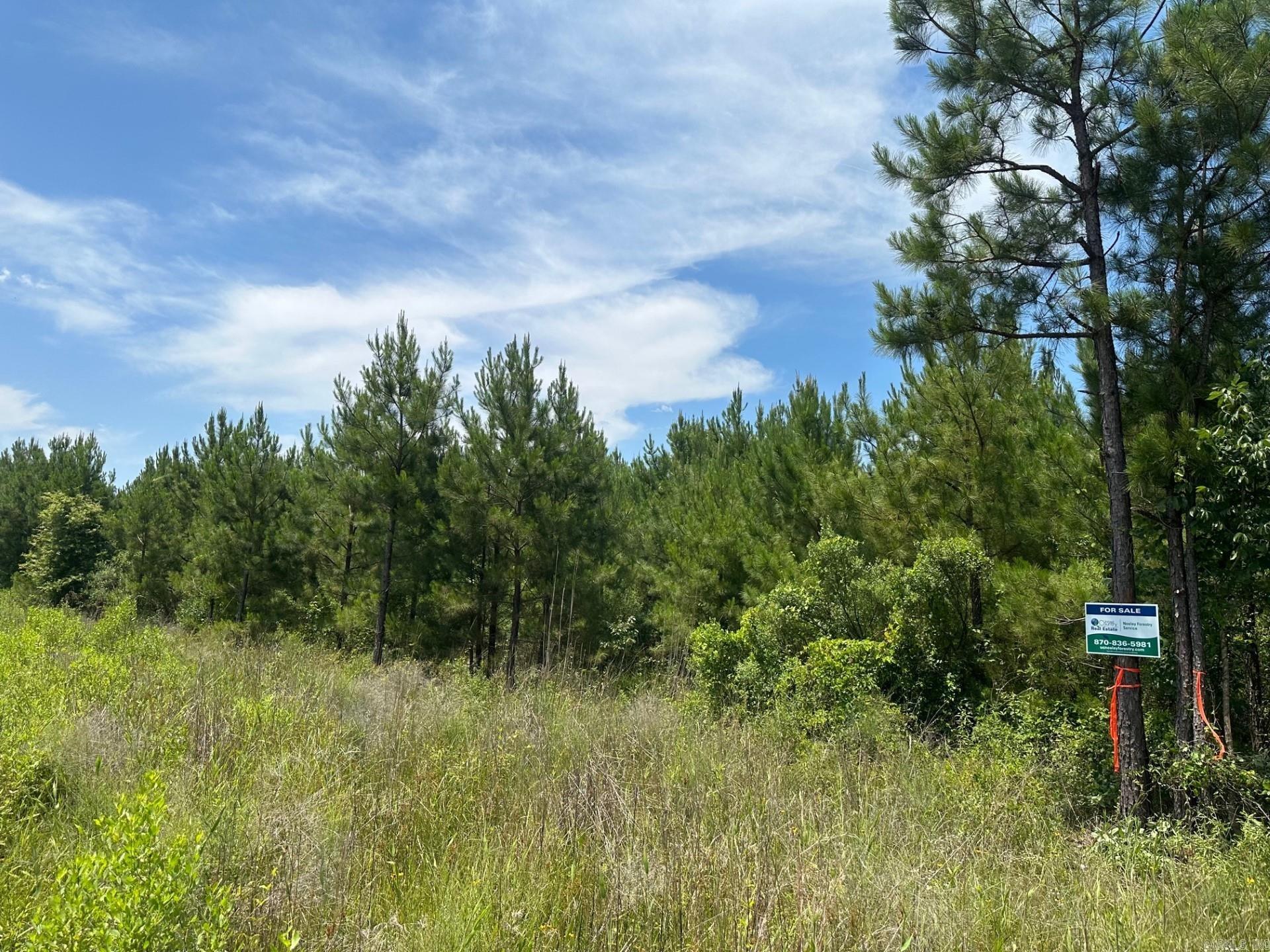 1  Pickett Loop Rd  Taylor, AR
