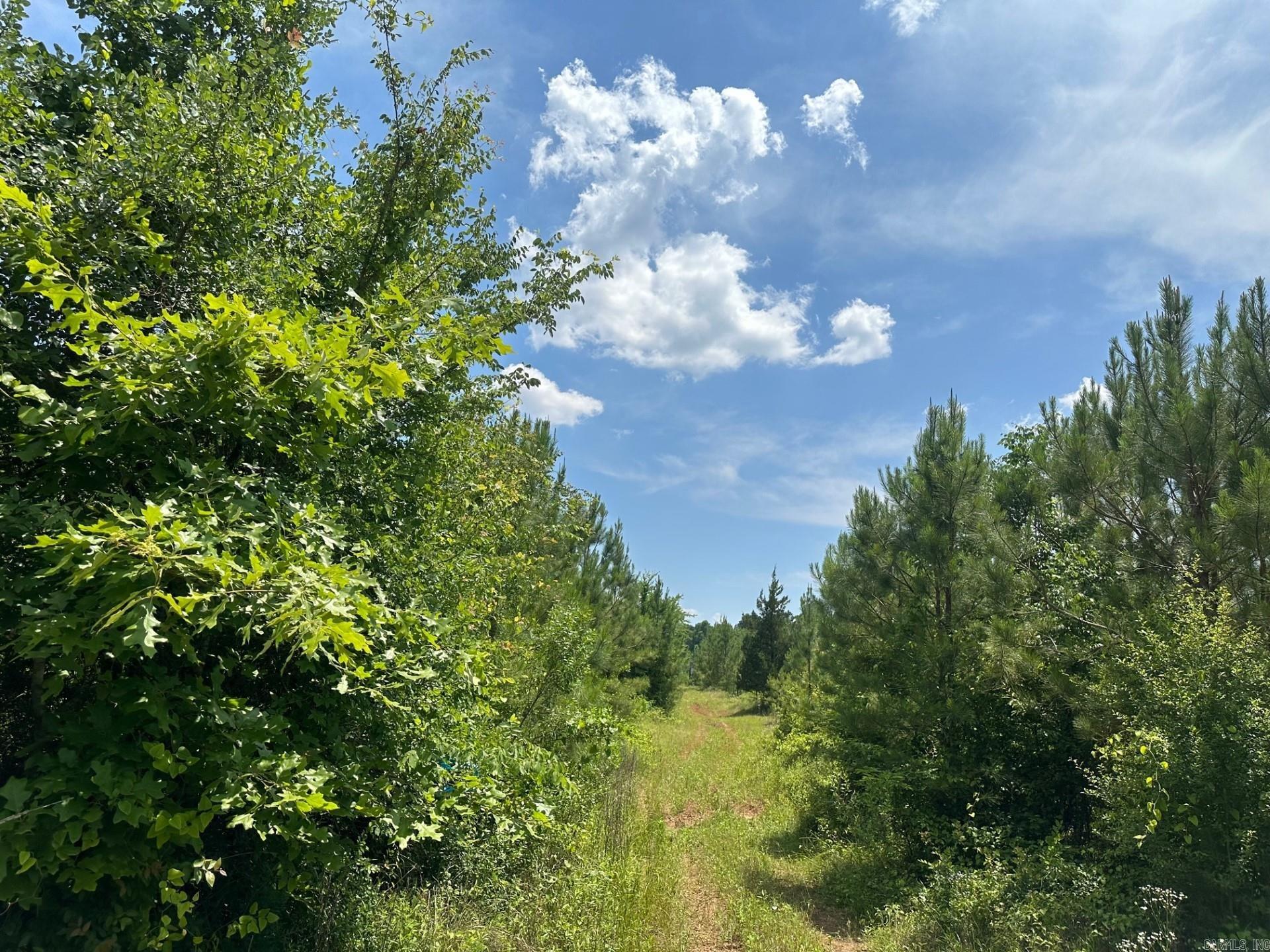 1  Pickett Loop Rd  Taylor, AR