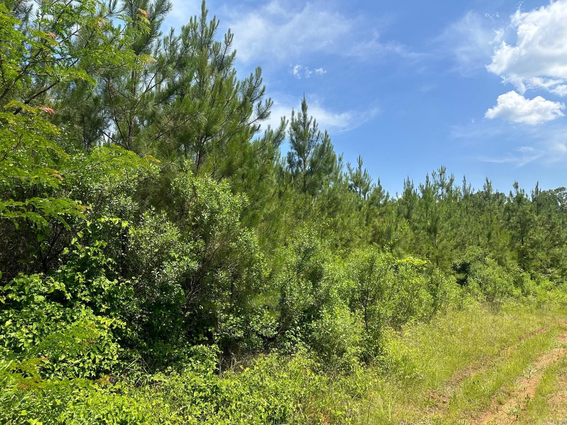 1  Pickett Loop Rd  Taylor, AR