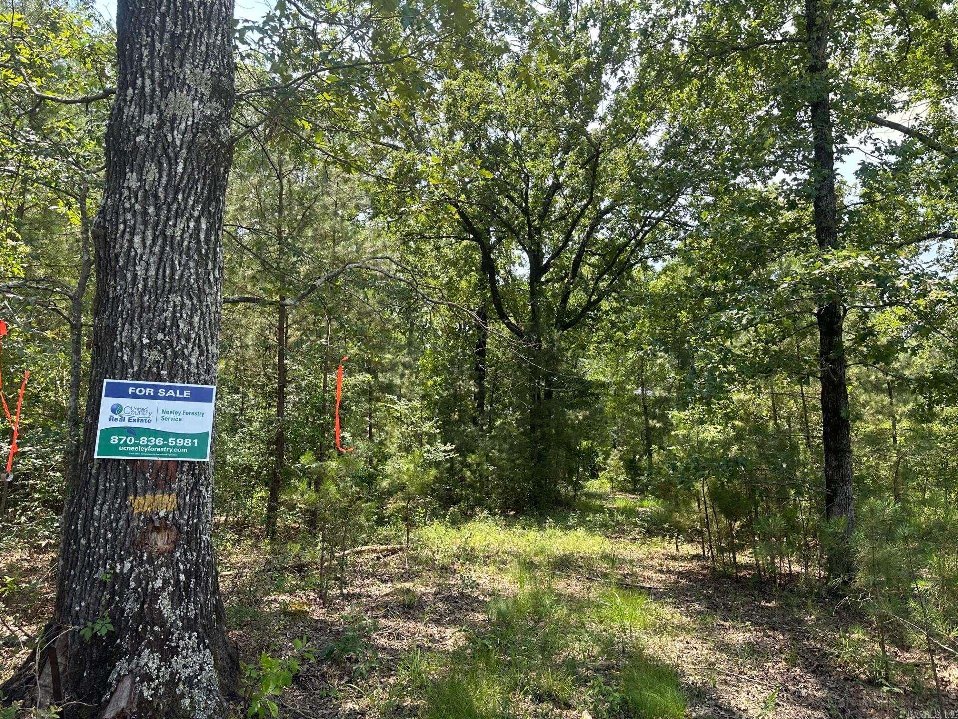 1  AR Hwy 29  Bradley, AR