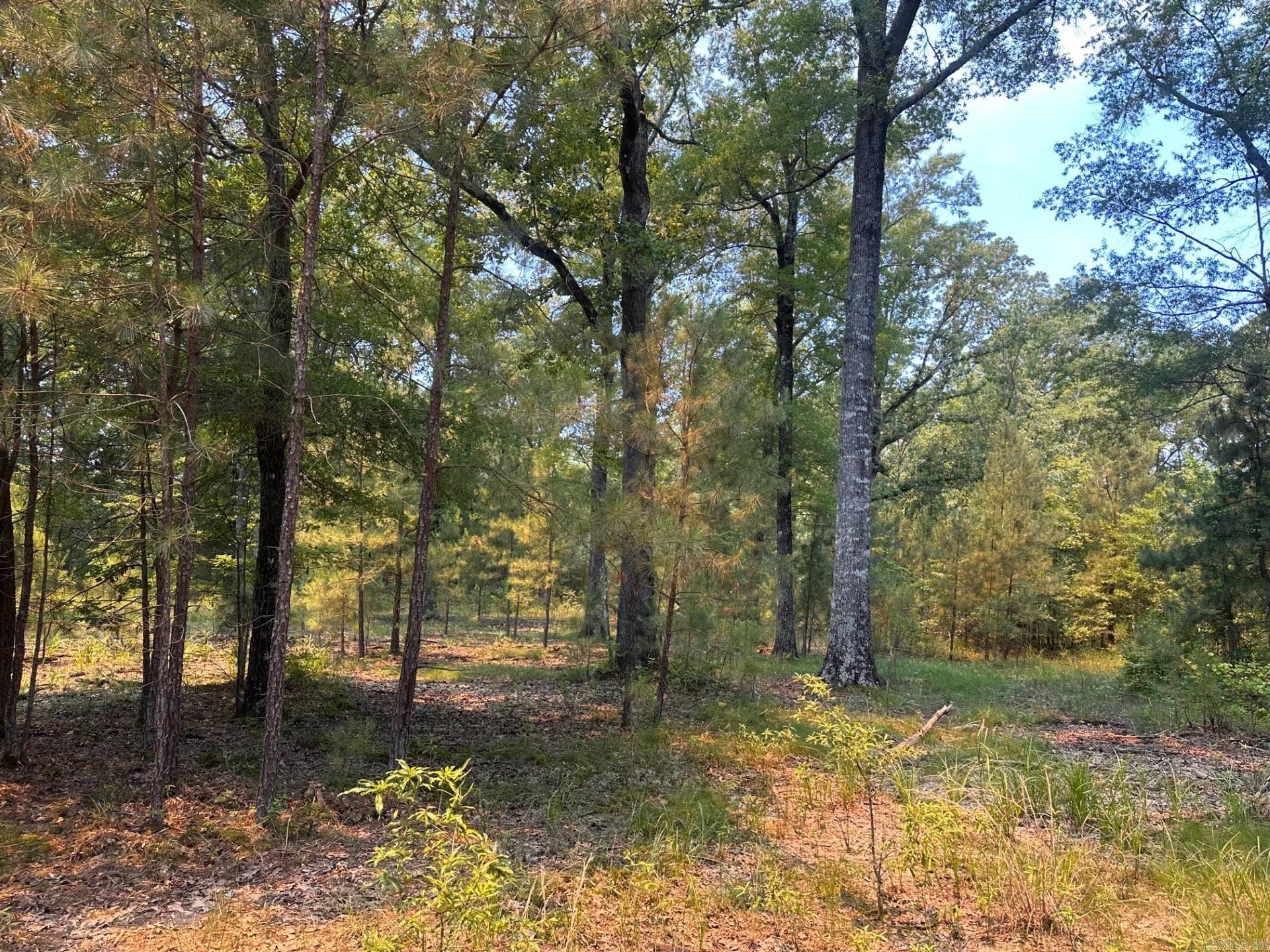 1  AR Hwy 29  Bradley, AR