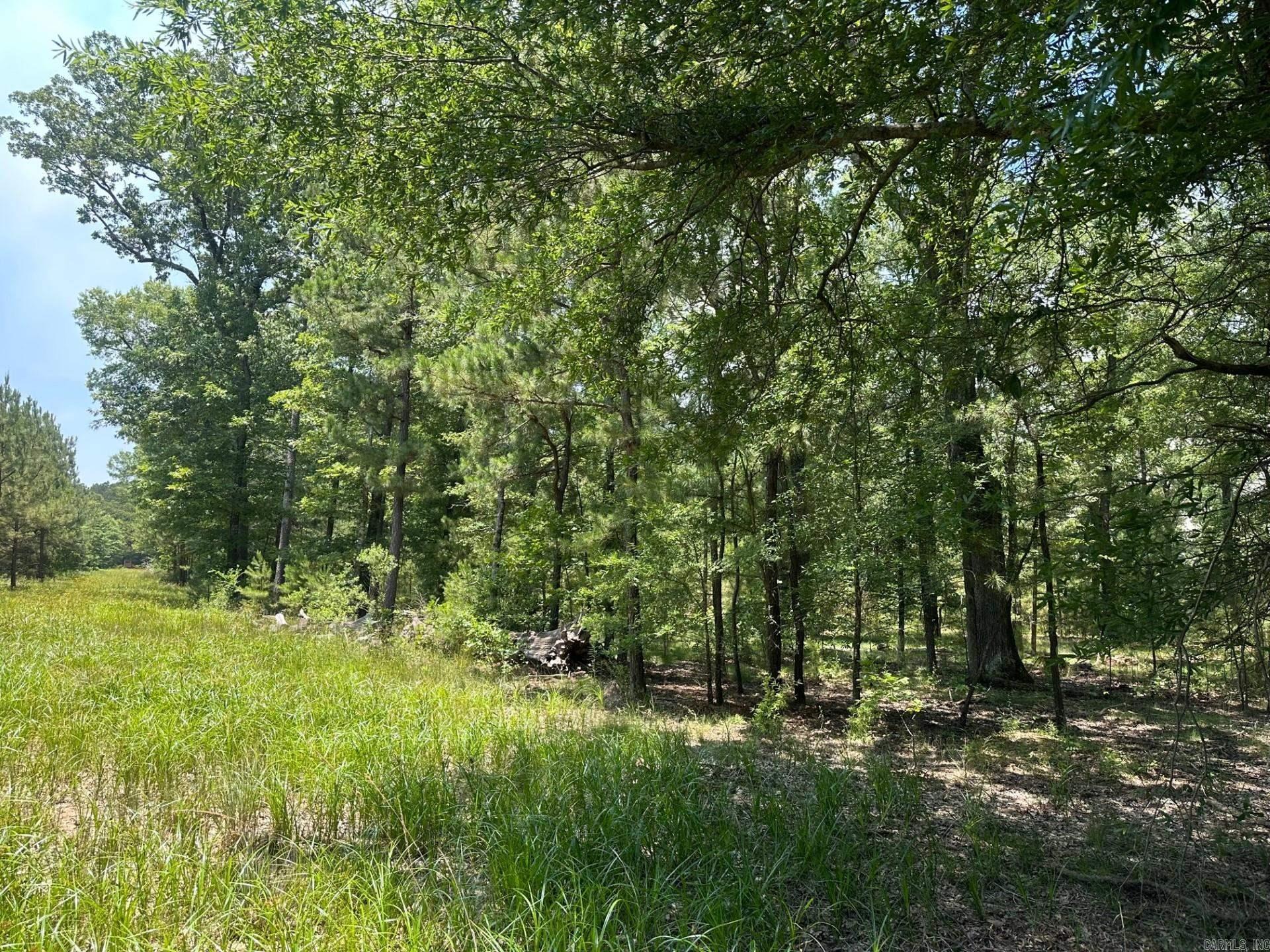1  AR Hwy 29  Bradley, AR