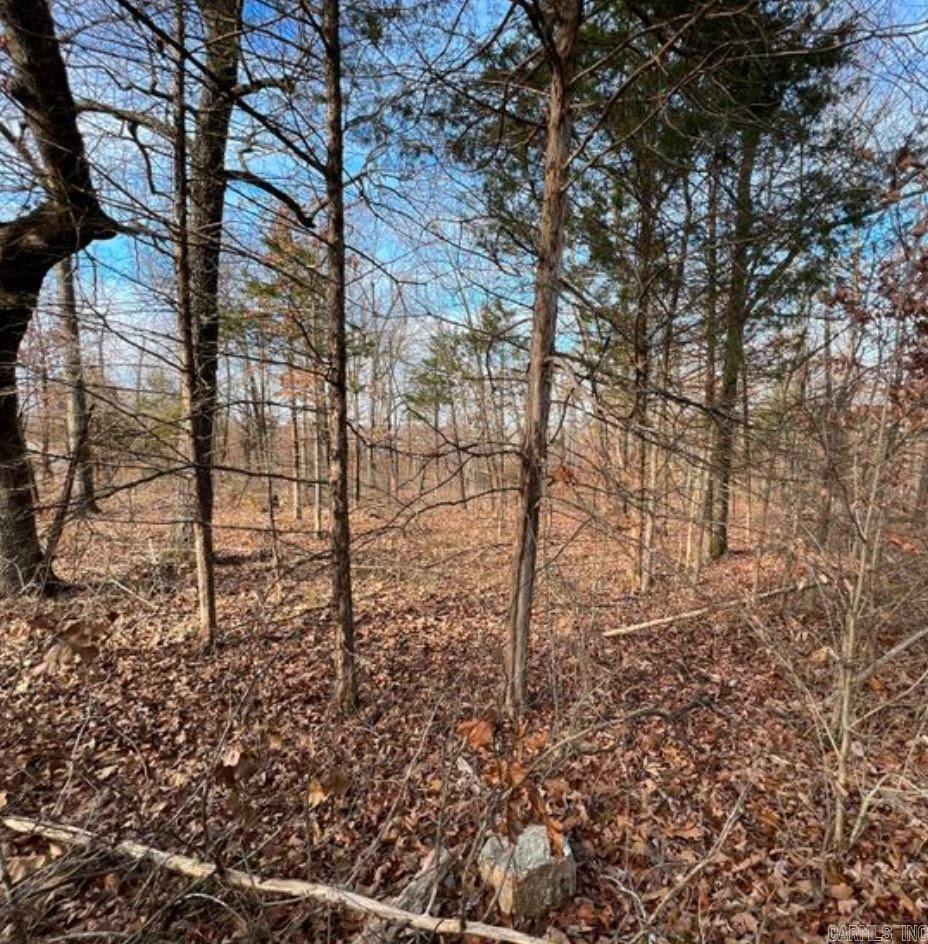 1113  Connection  Horseshoe Bend, AR