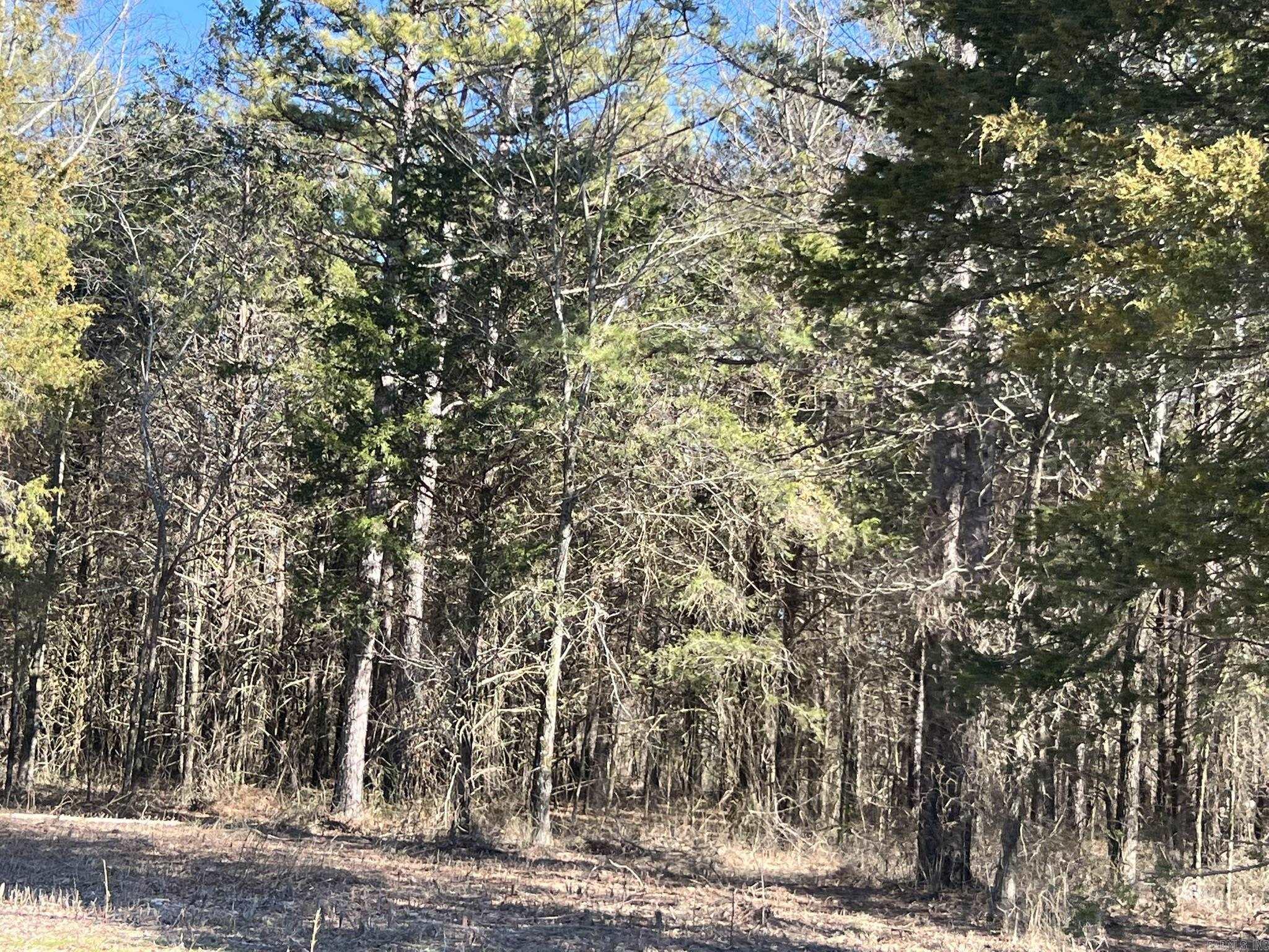 510  Old Waters Highway  Pine Ridge, AR