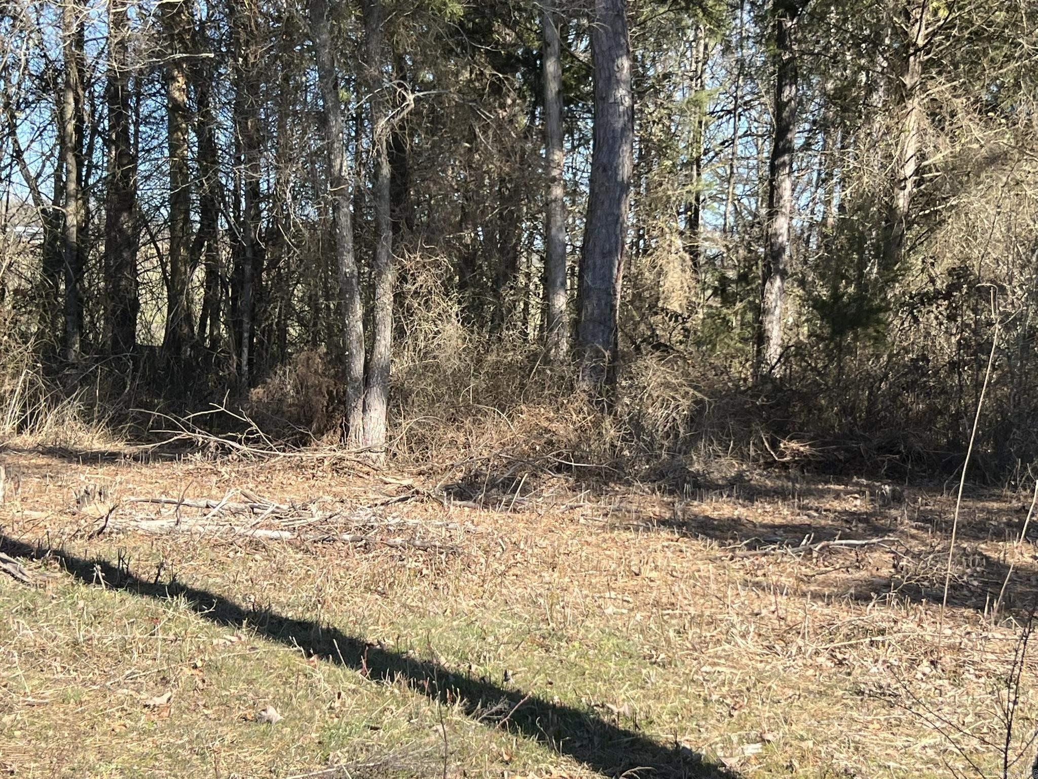 510  Old Waters Highway  Pine Ridge, AR