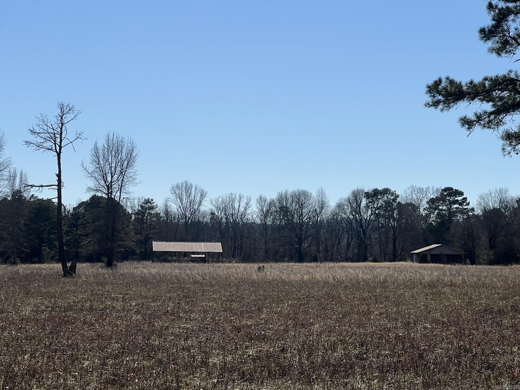 510  Old Waters Highway  Pine Ridge, AR