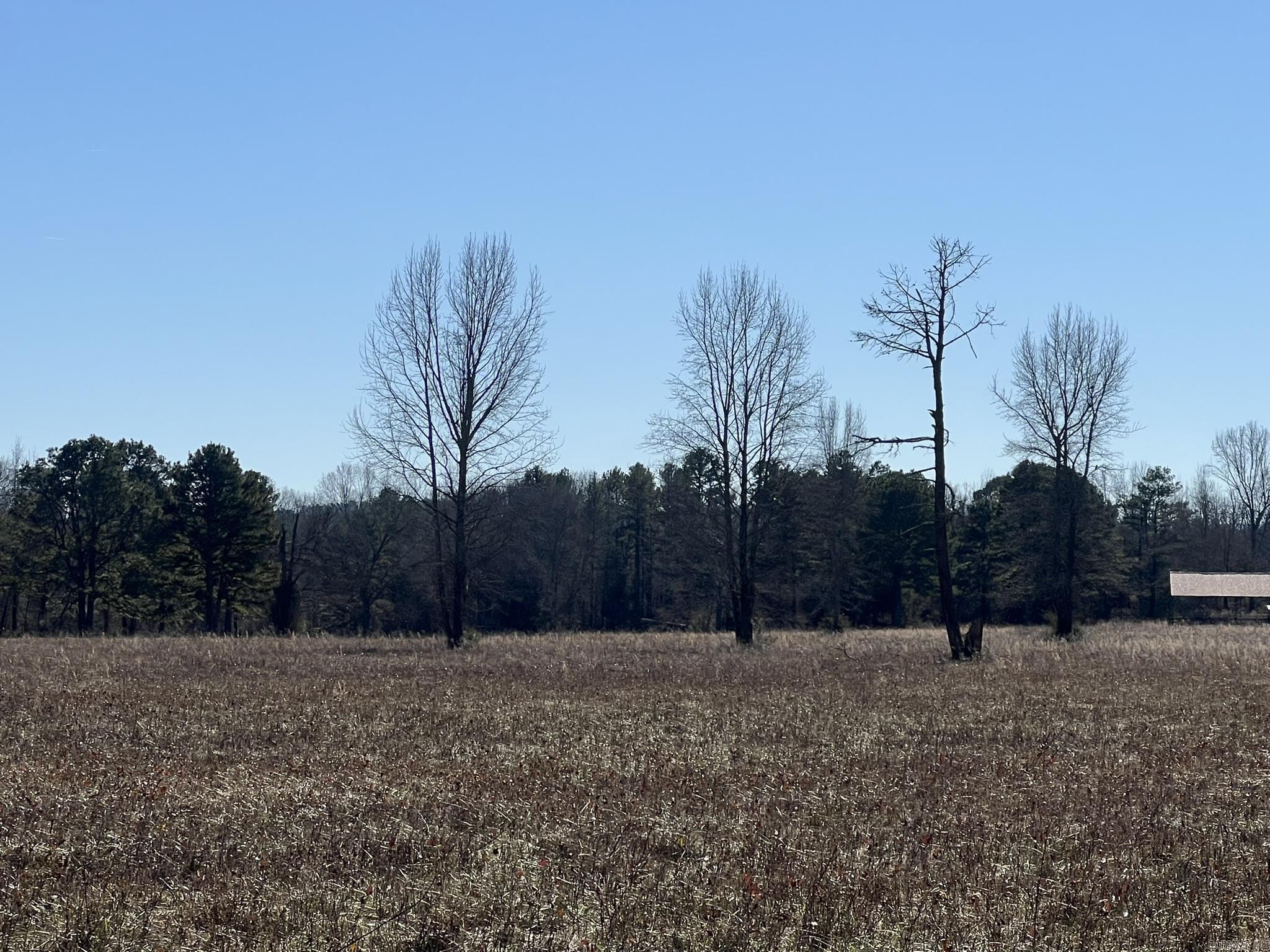 510  Old Waters Highway  Pine Ridge, AR