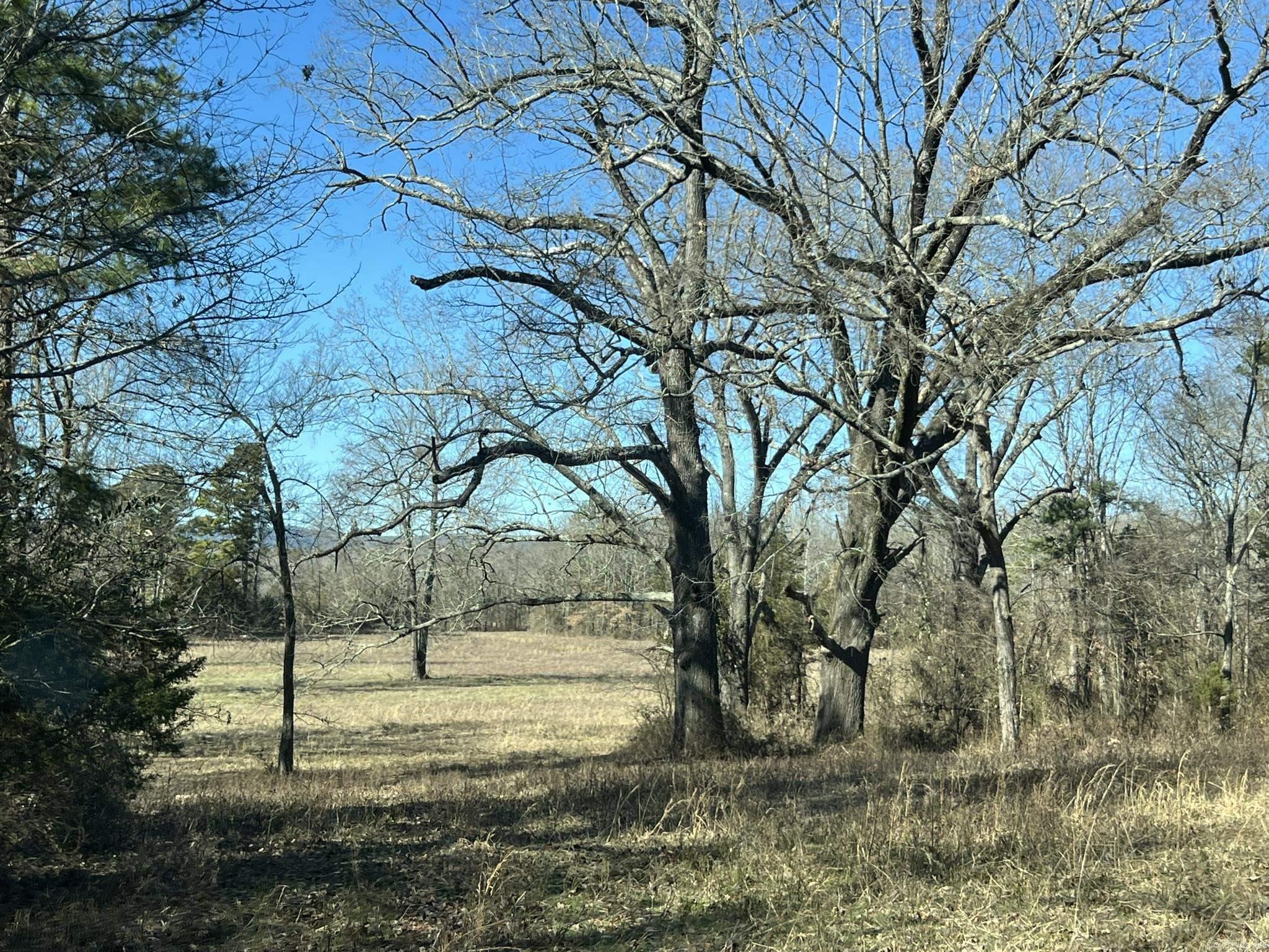 510  Old Waters Highway  Pine Ridge, AR