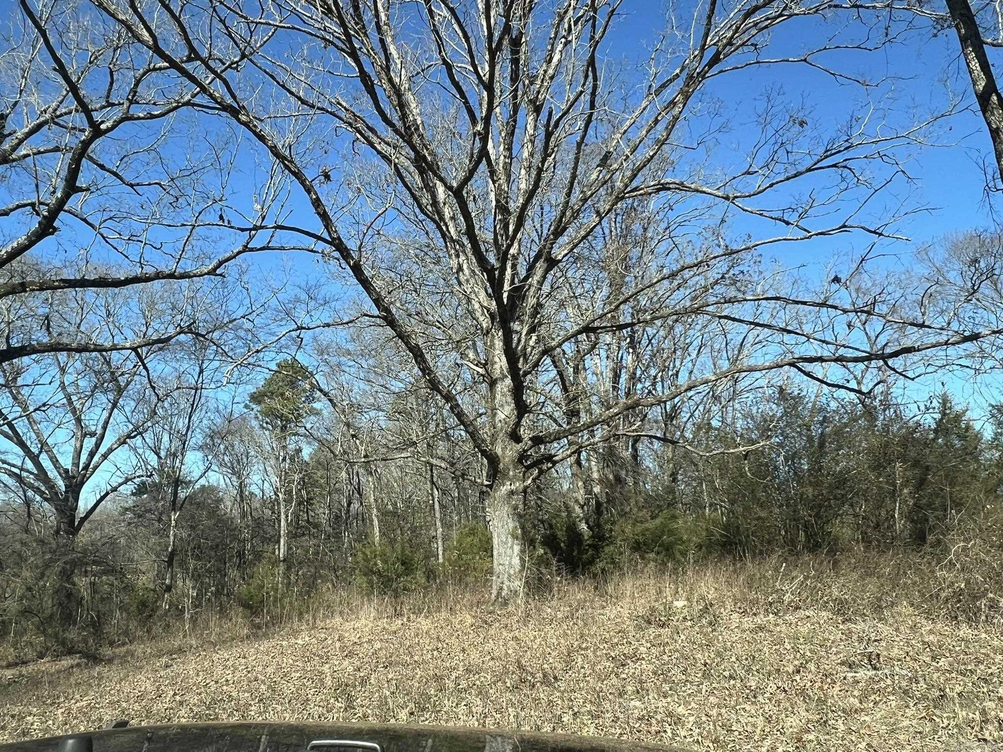 510  Old Waters Highway  Pine Ridge, AR