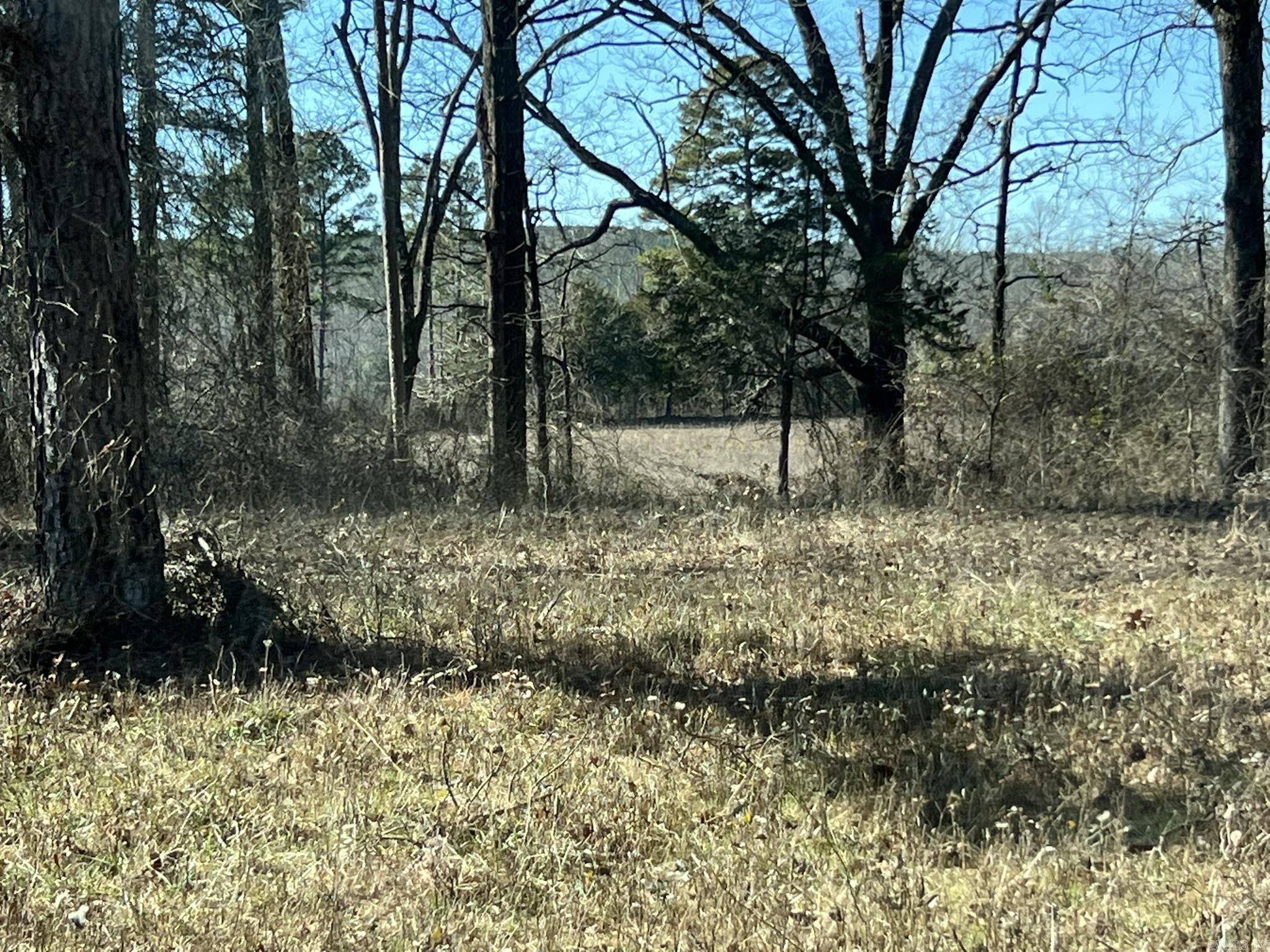 510  Old Waters Highway  Pine Ridge, AR