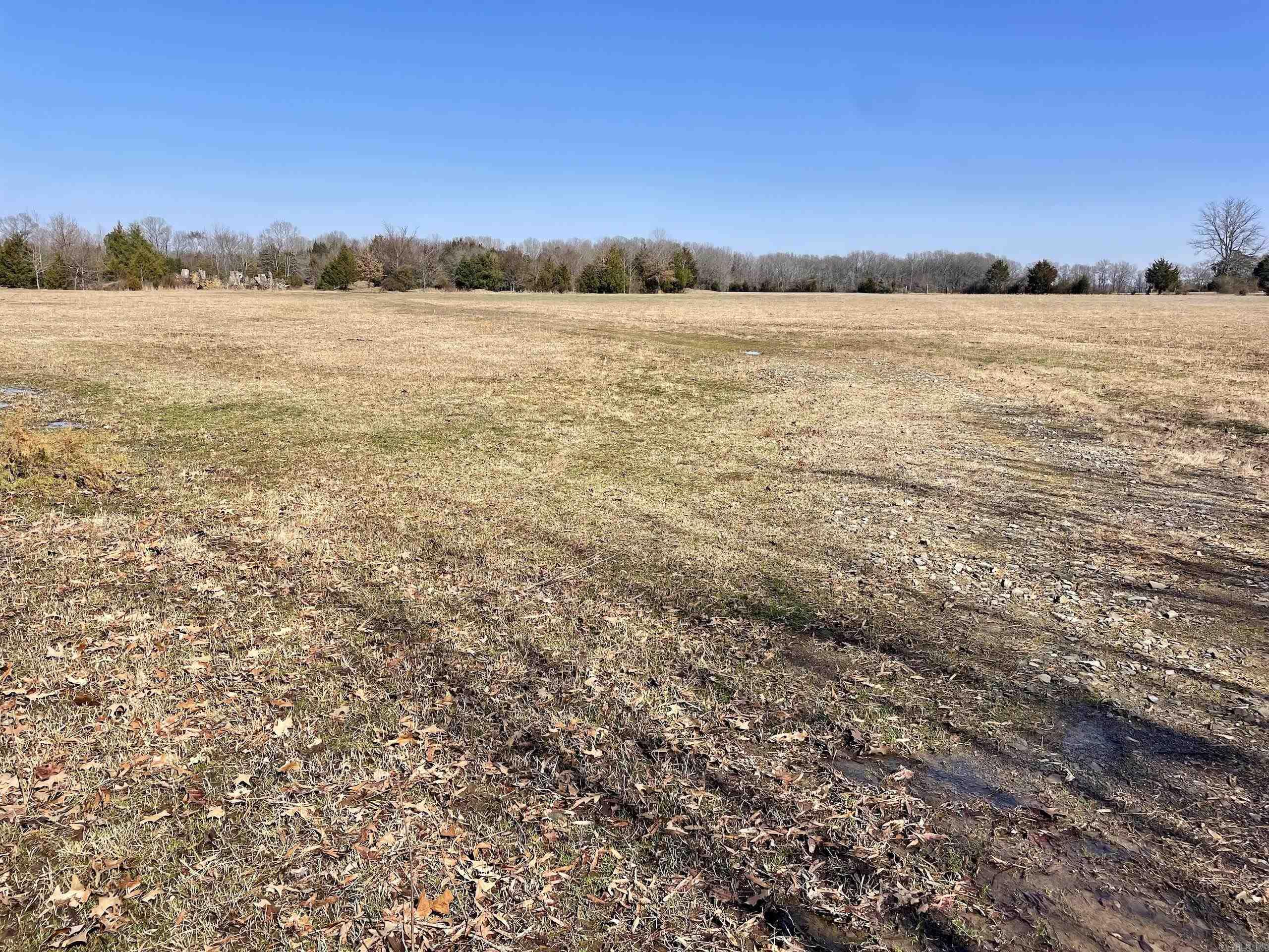 000  Brewer  Conway, AR