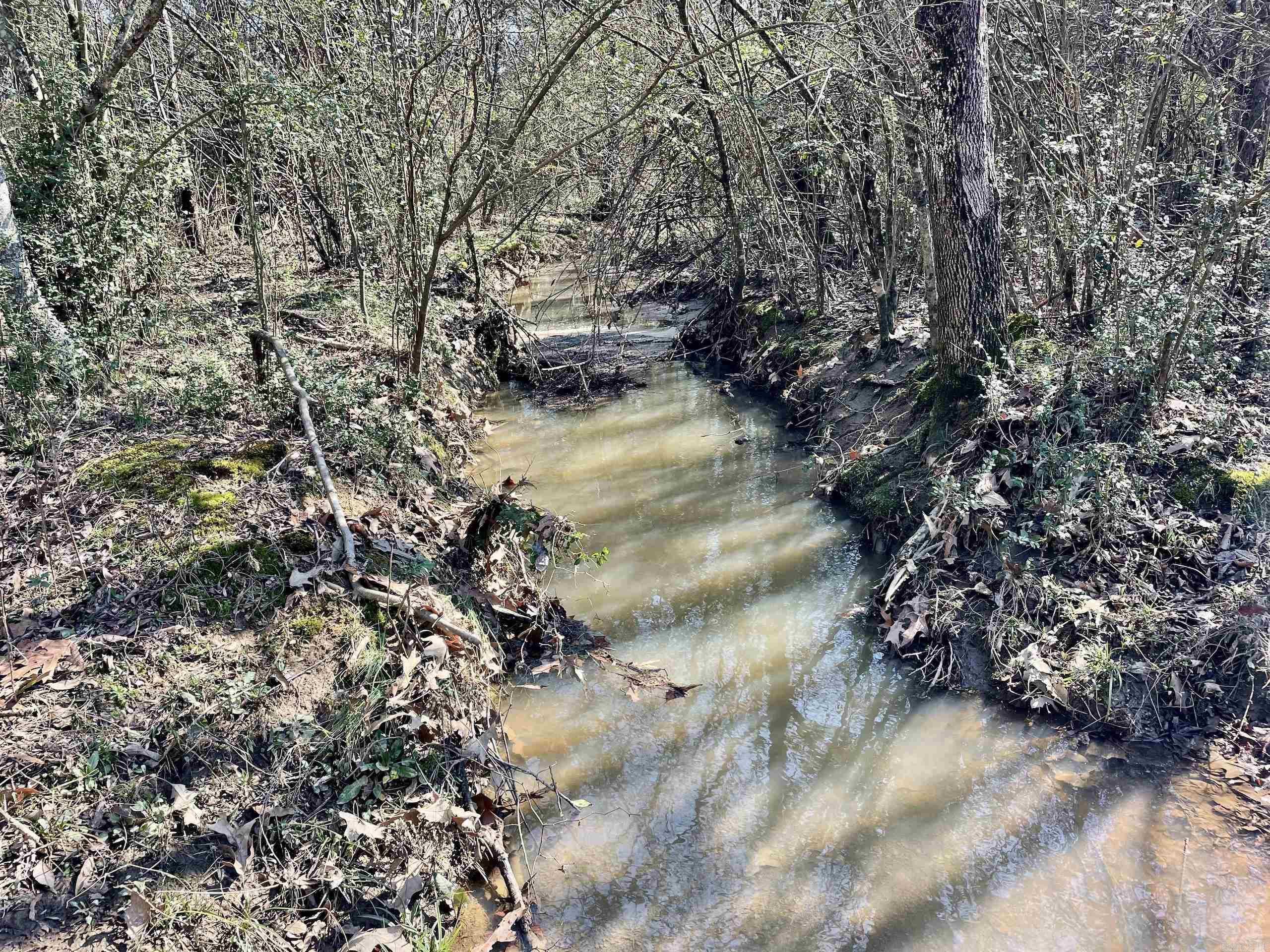 000  Brewer  Conway, AR