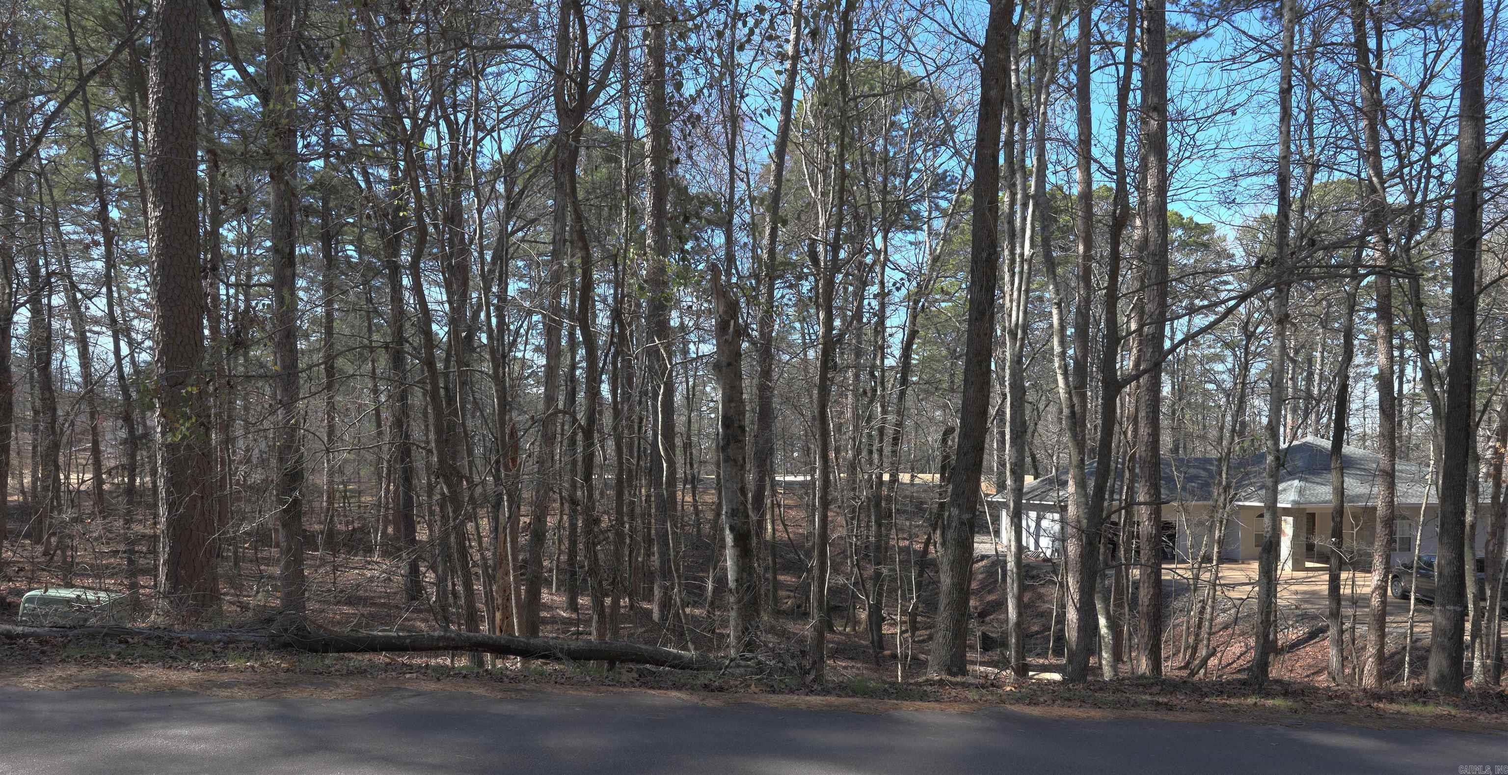 TBD  Acceso Cir  Hot Springs Village, AR