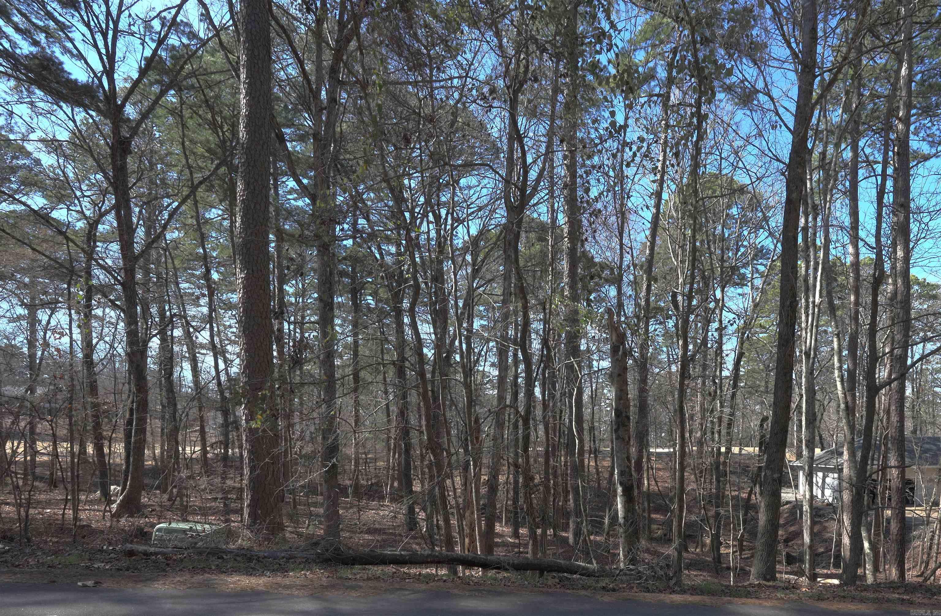 TBD  Acceso Cir  Hot Springs Village, AR